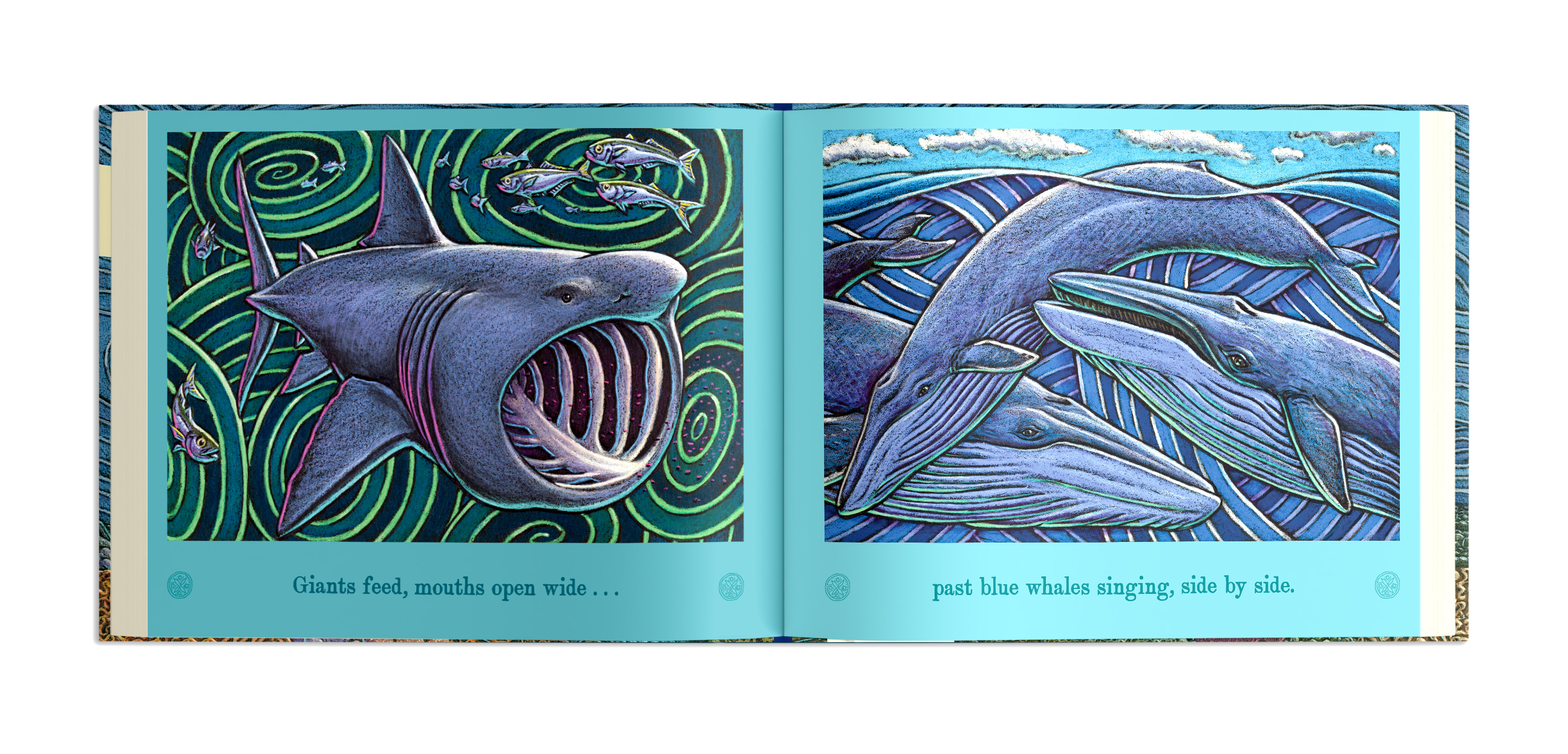 additional book photo