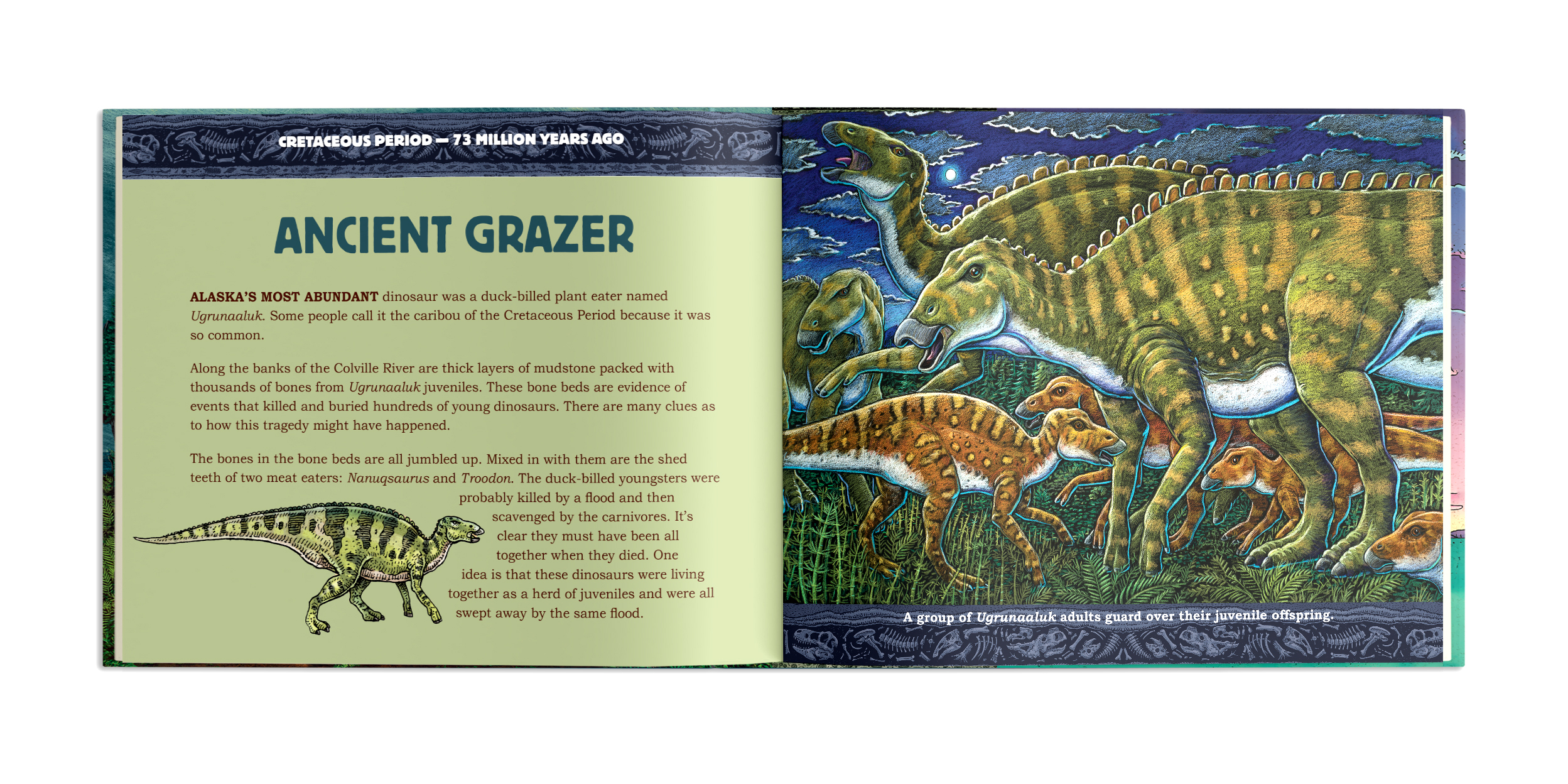 additional book photo