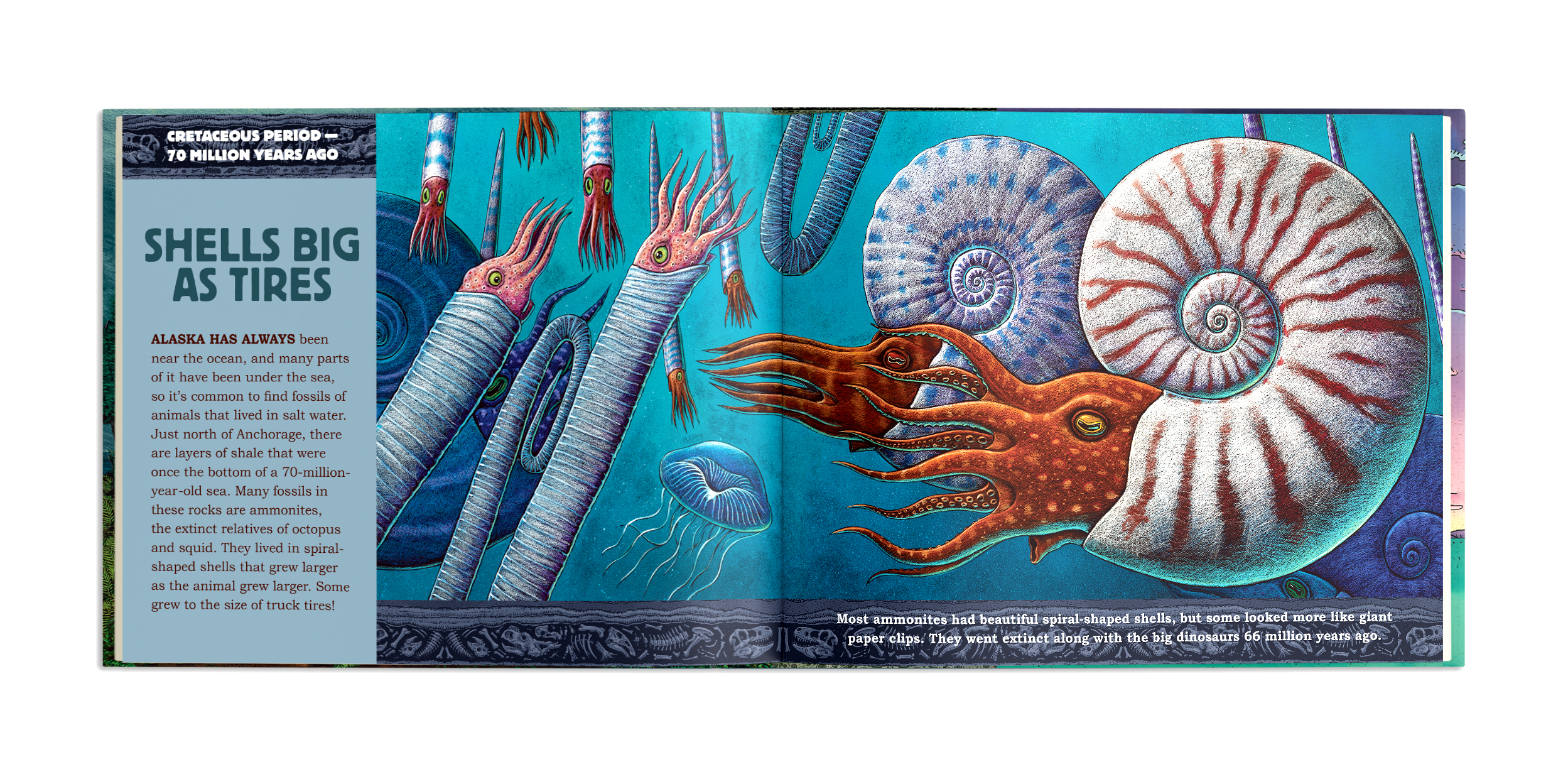 additional book photo