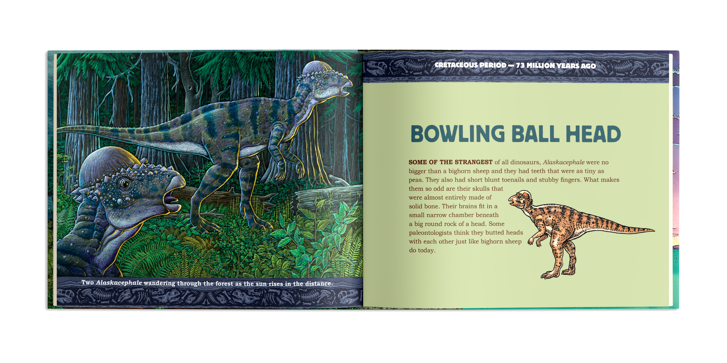 additional book photo
