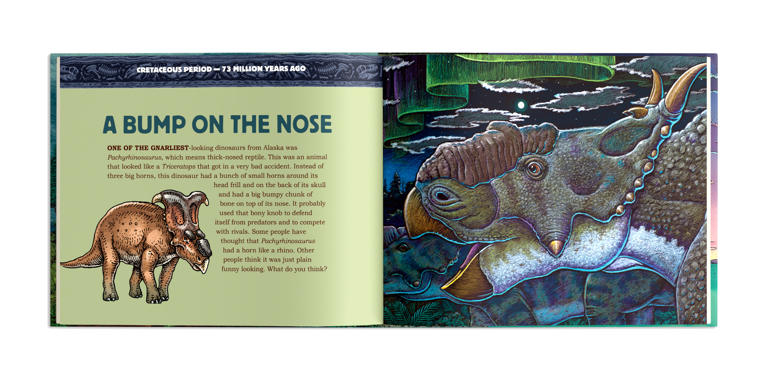 additional book photo