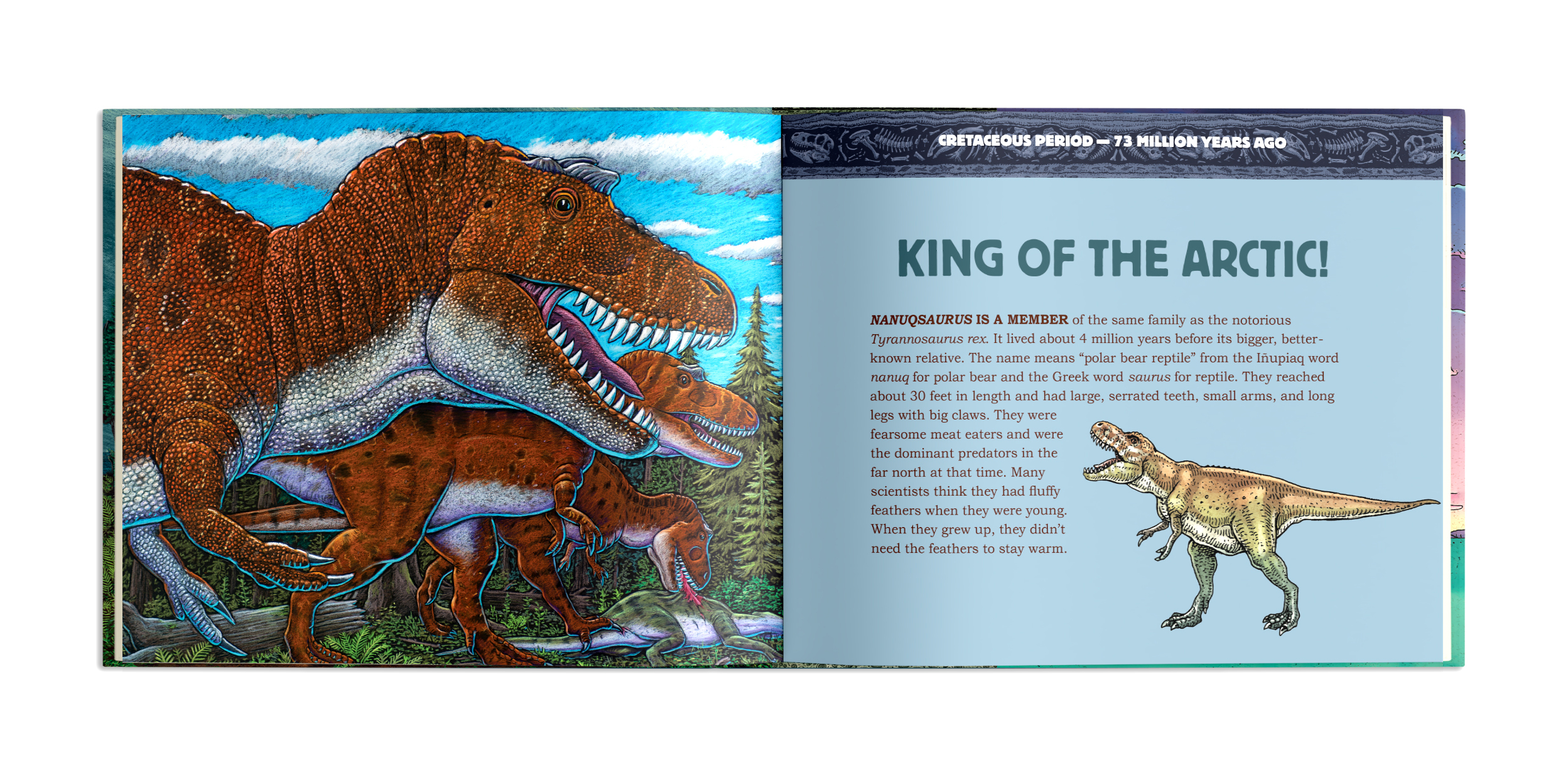additional book photo