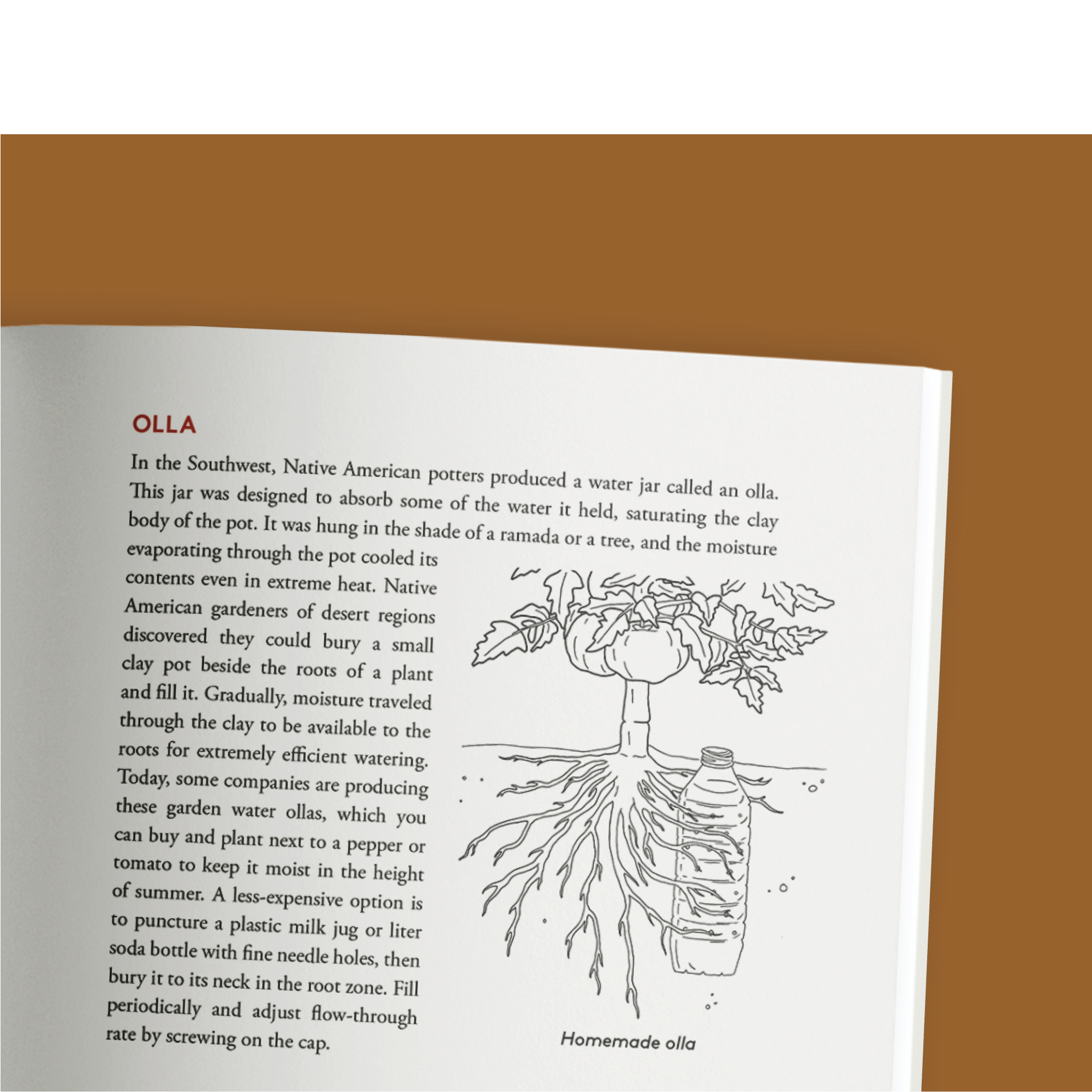 additional book photo