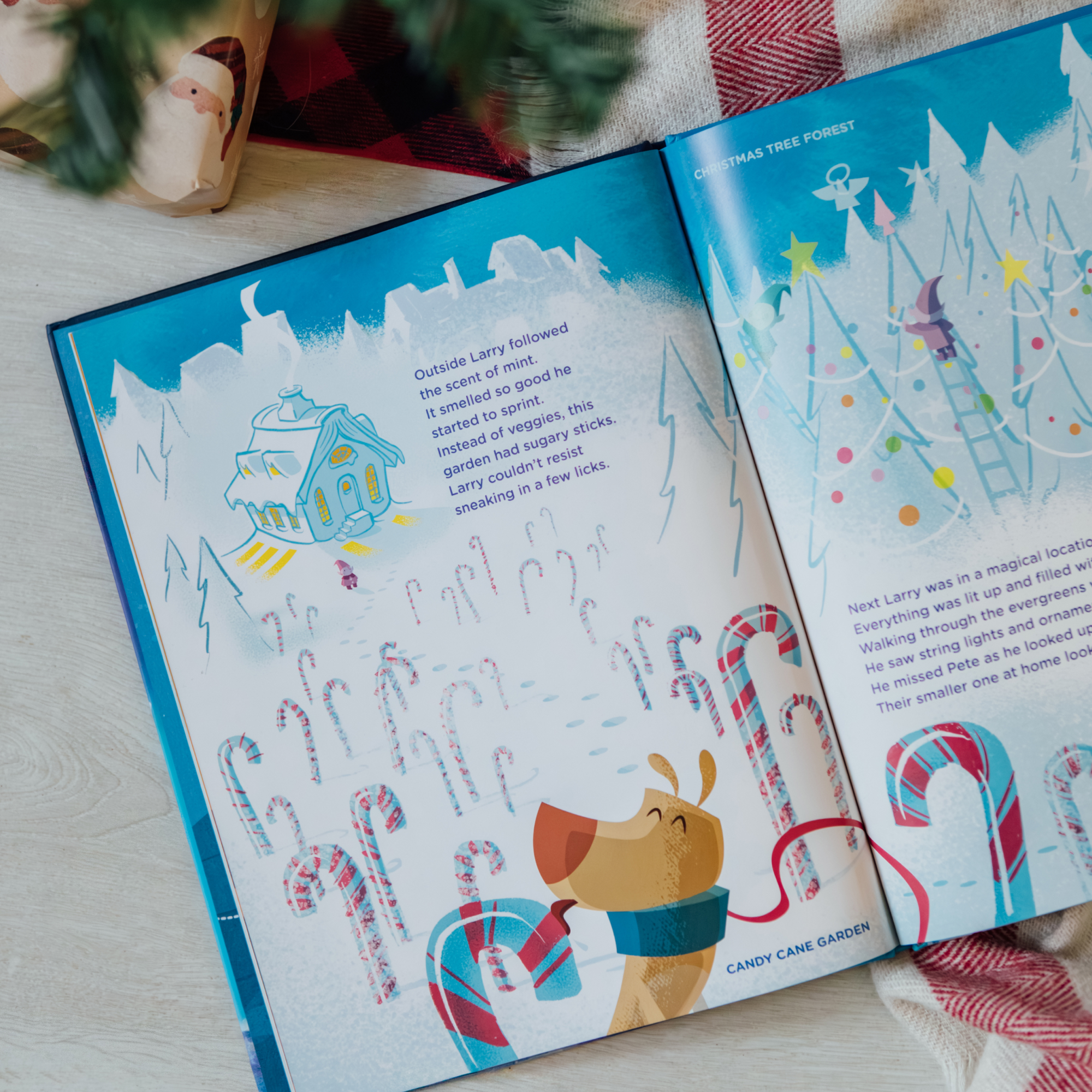 additional book photo