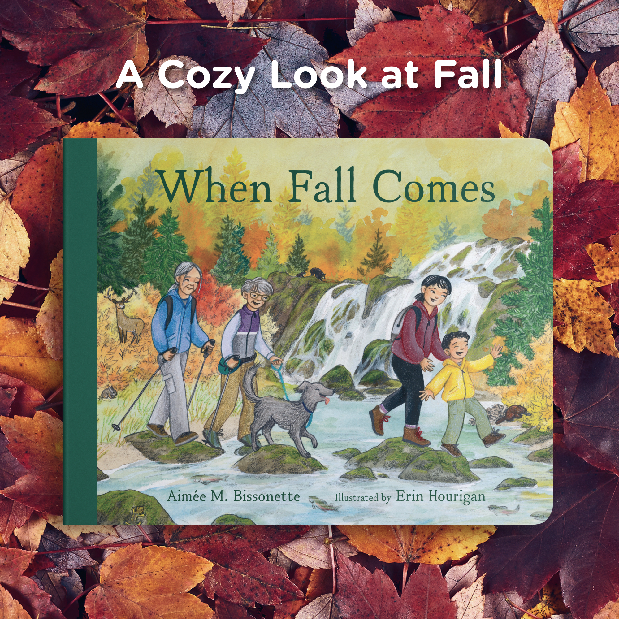 additional book photo