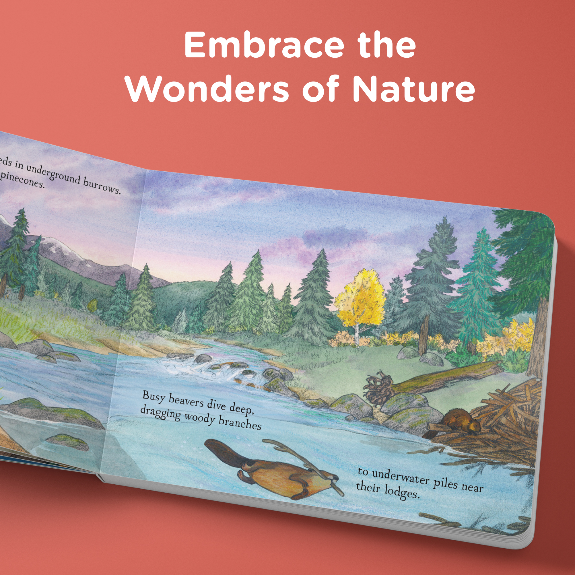 additional book photo