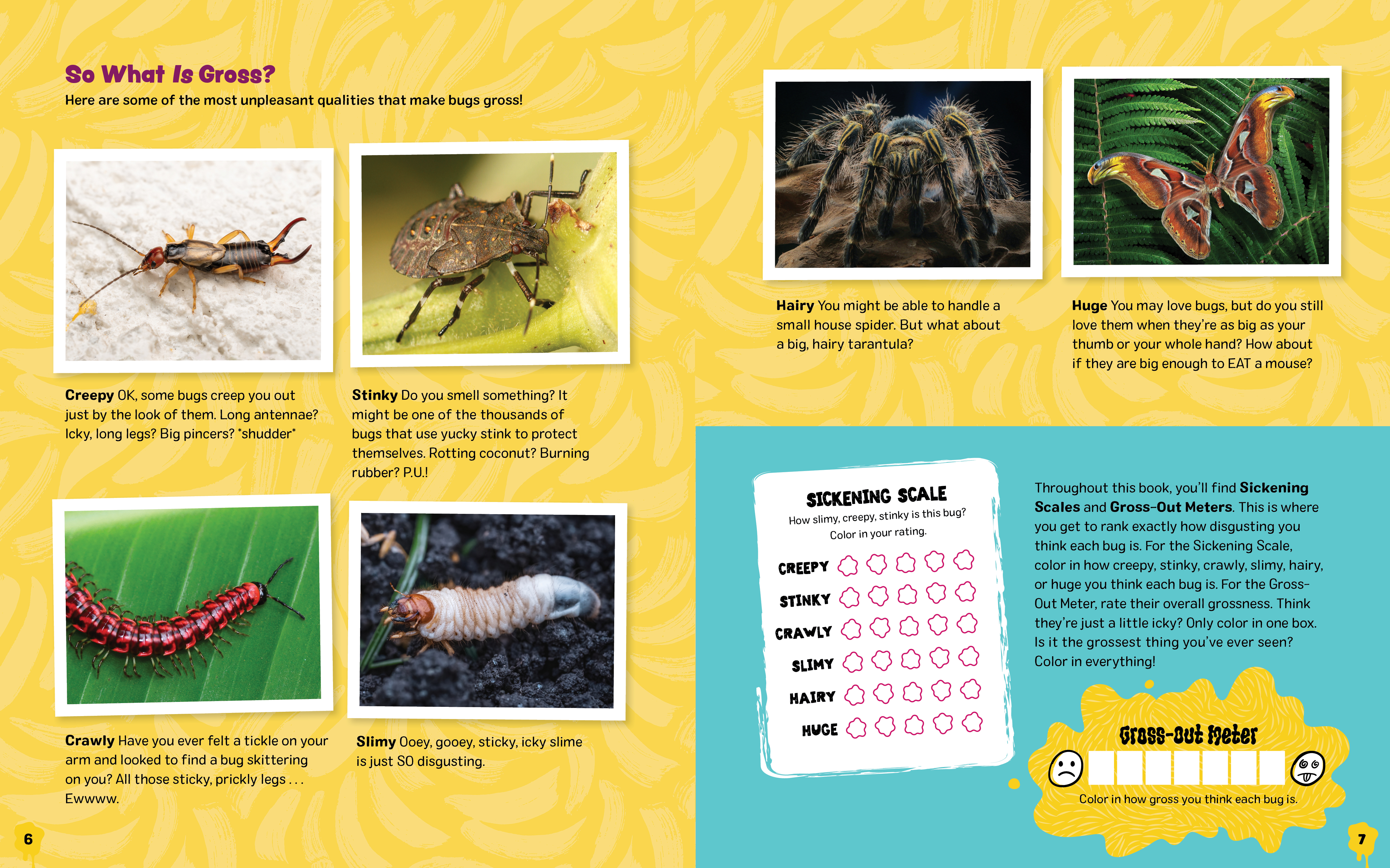 additional book photo