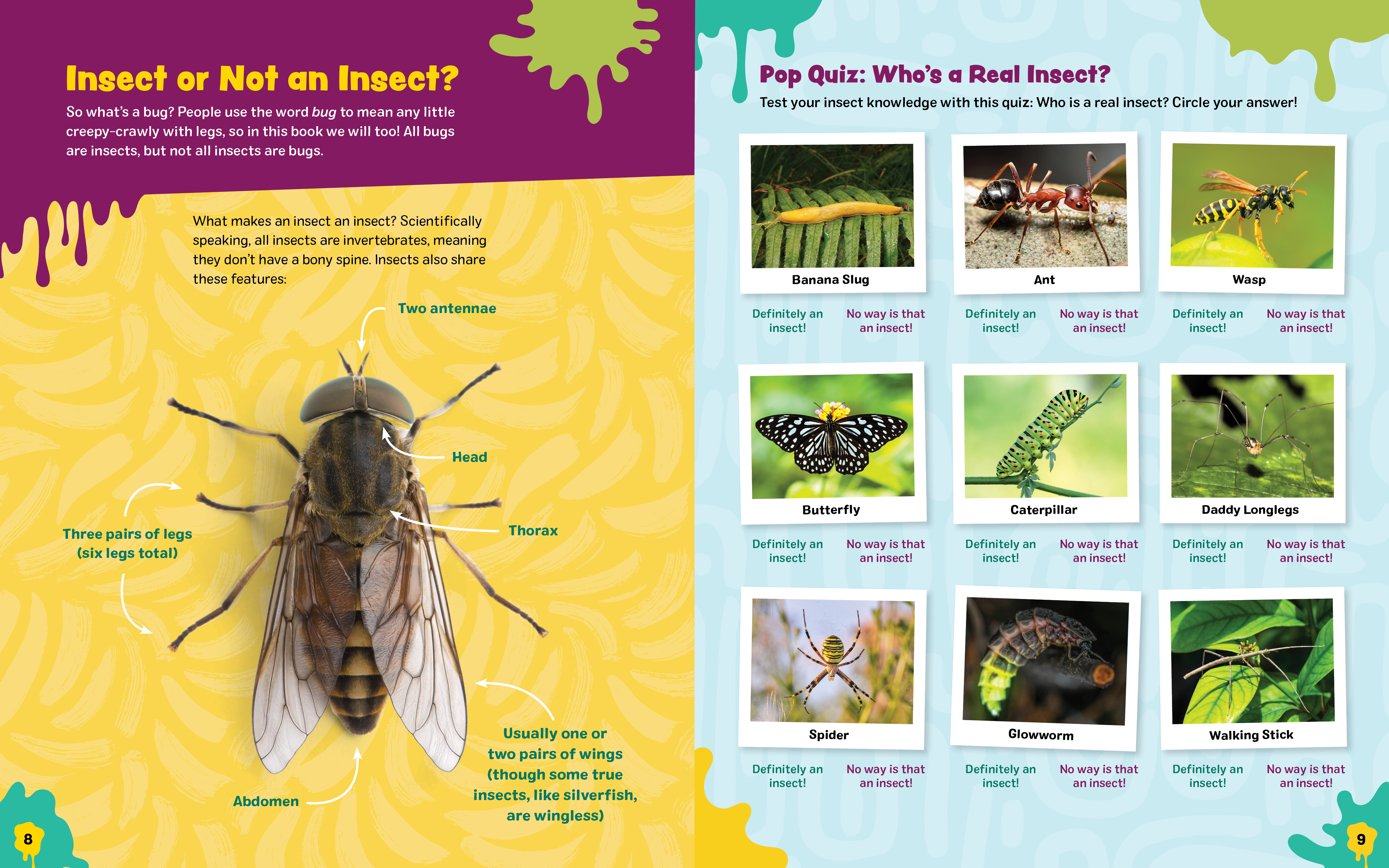 additional book photo