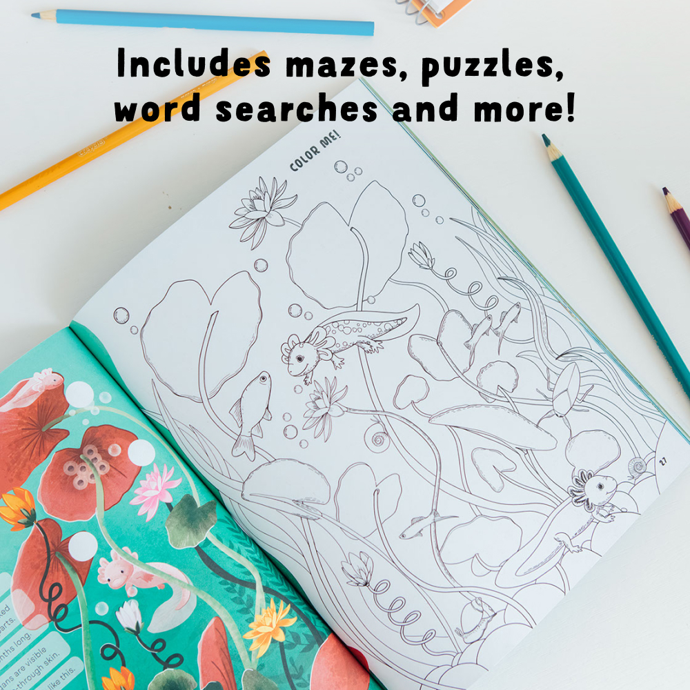 additional book photo