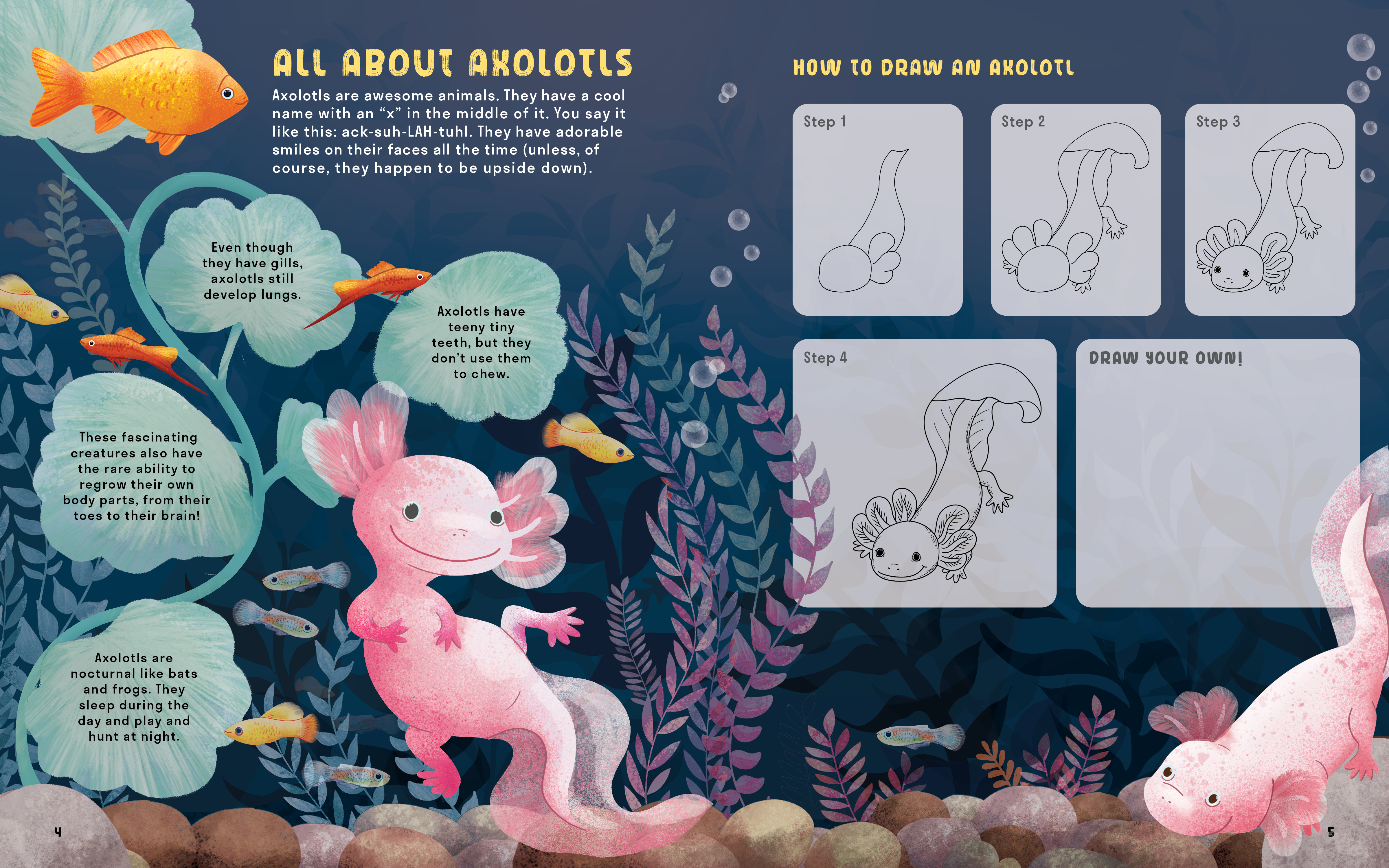 additional book photo