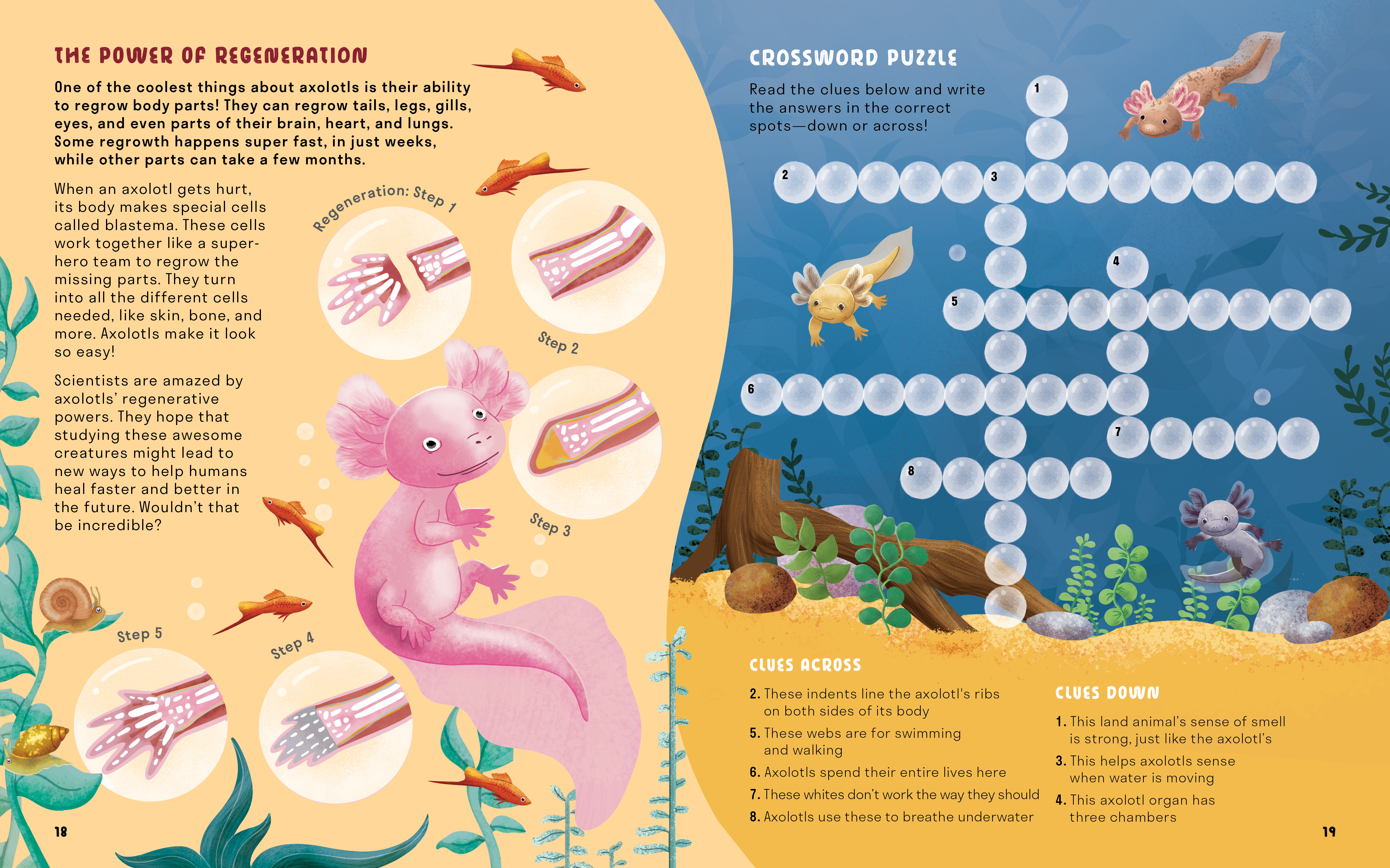 additional book photo