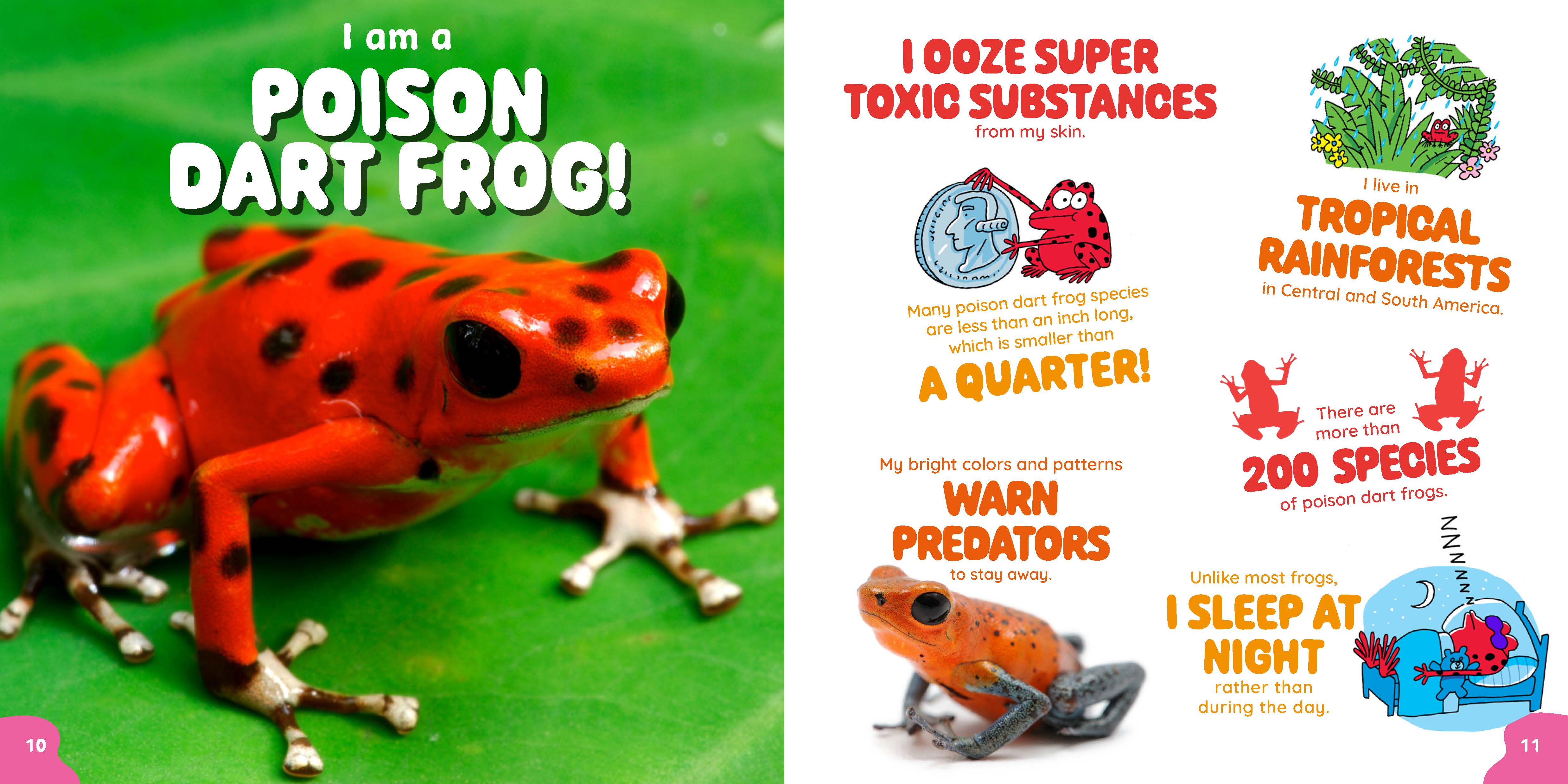 additional book photo