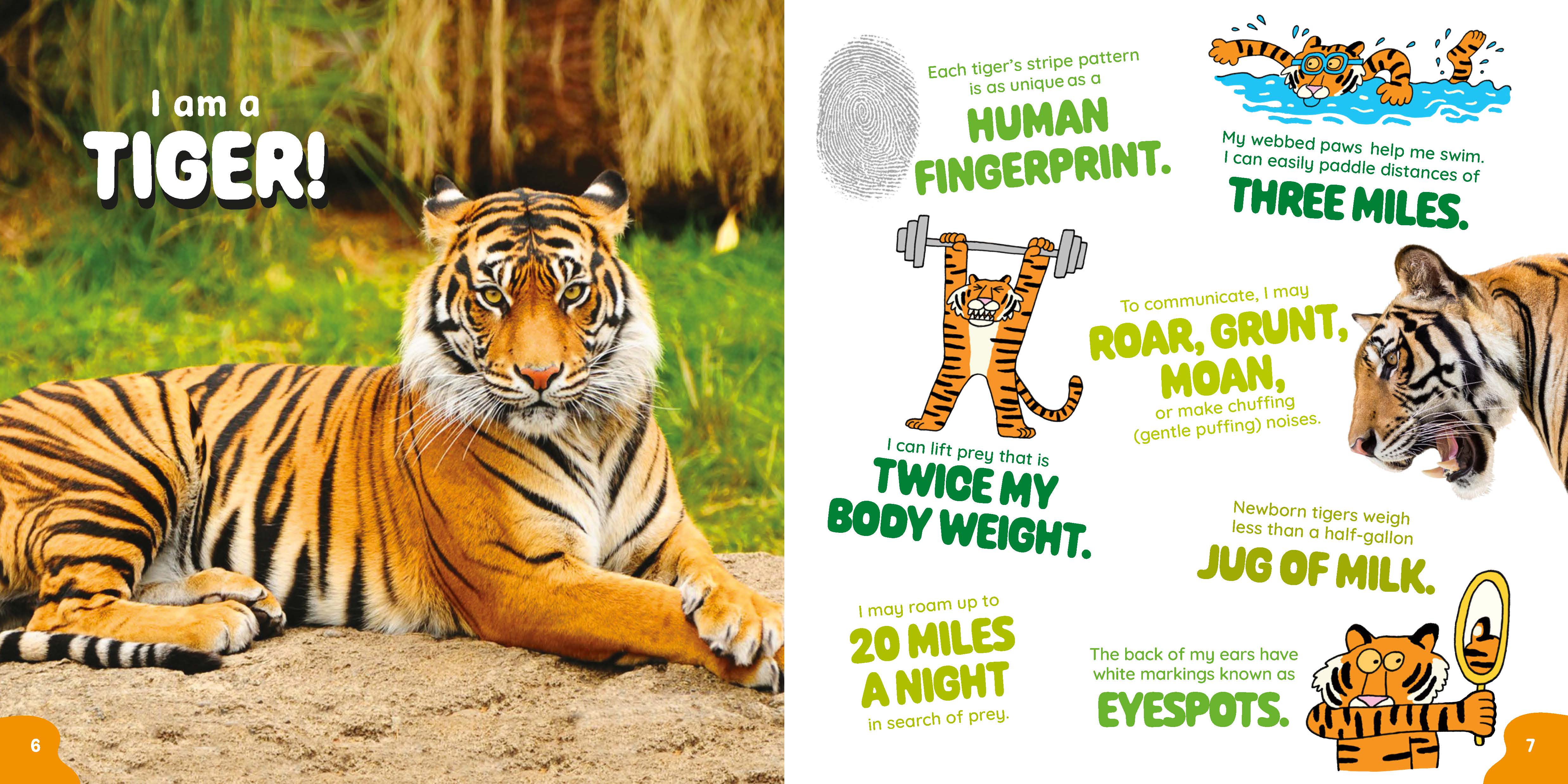 additional book photo