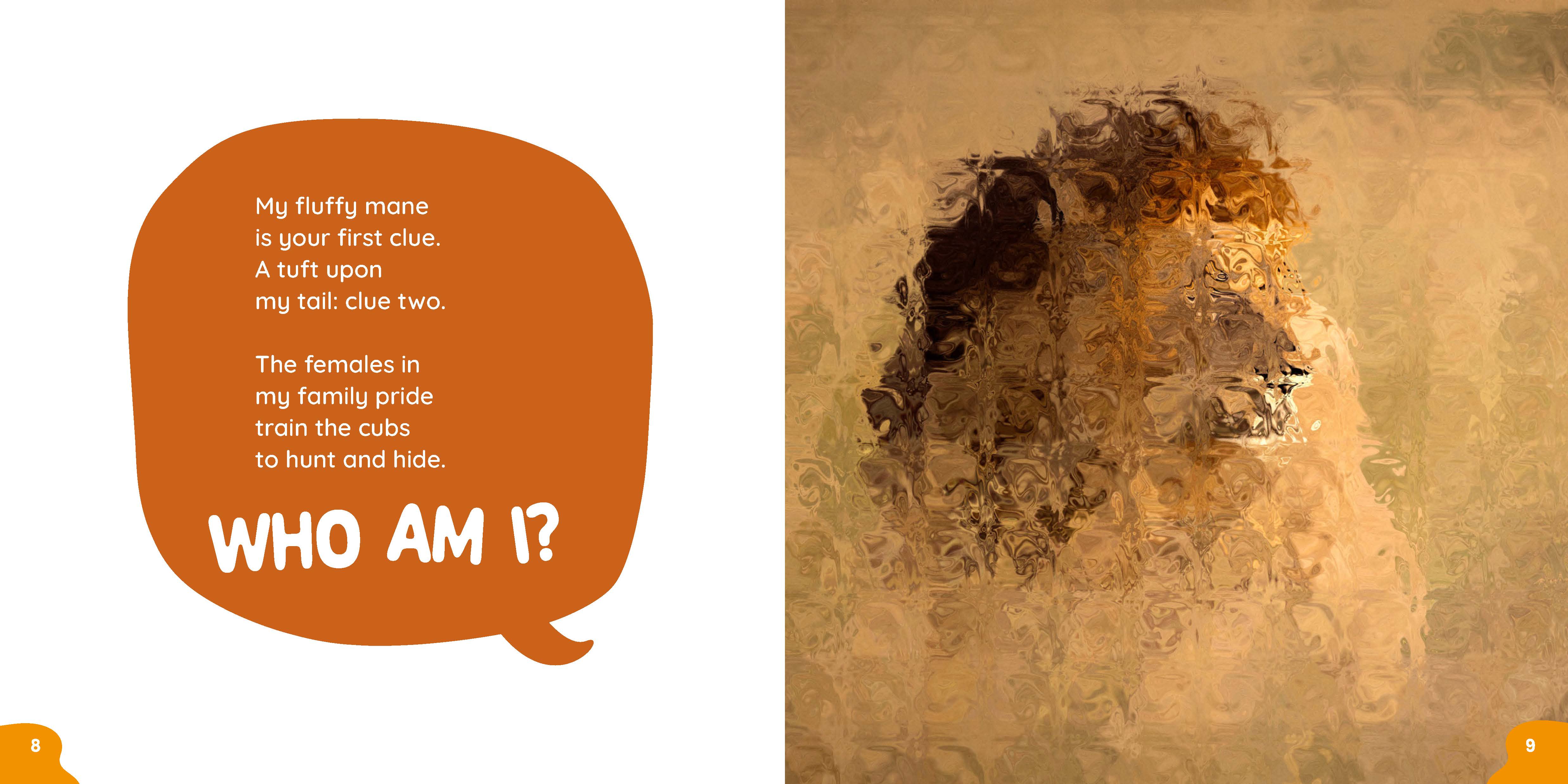 additional book photo