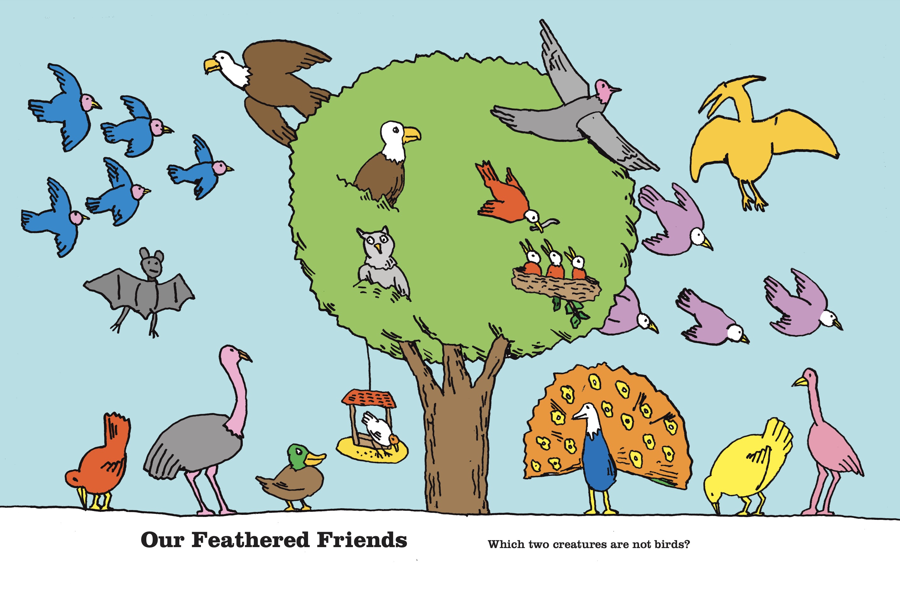 additional book photo