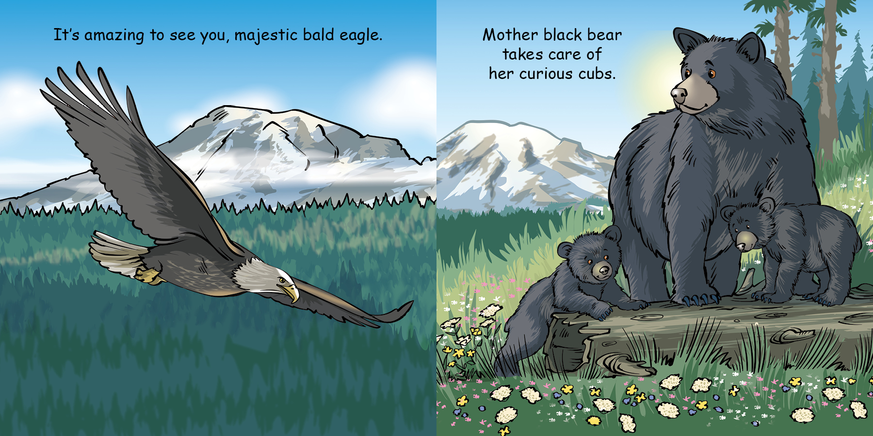 additional book photo