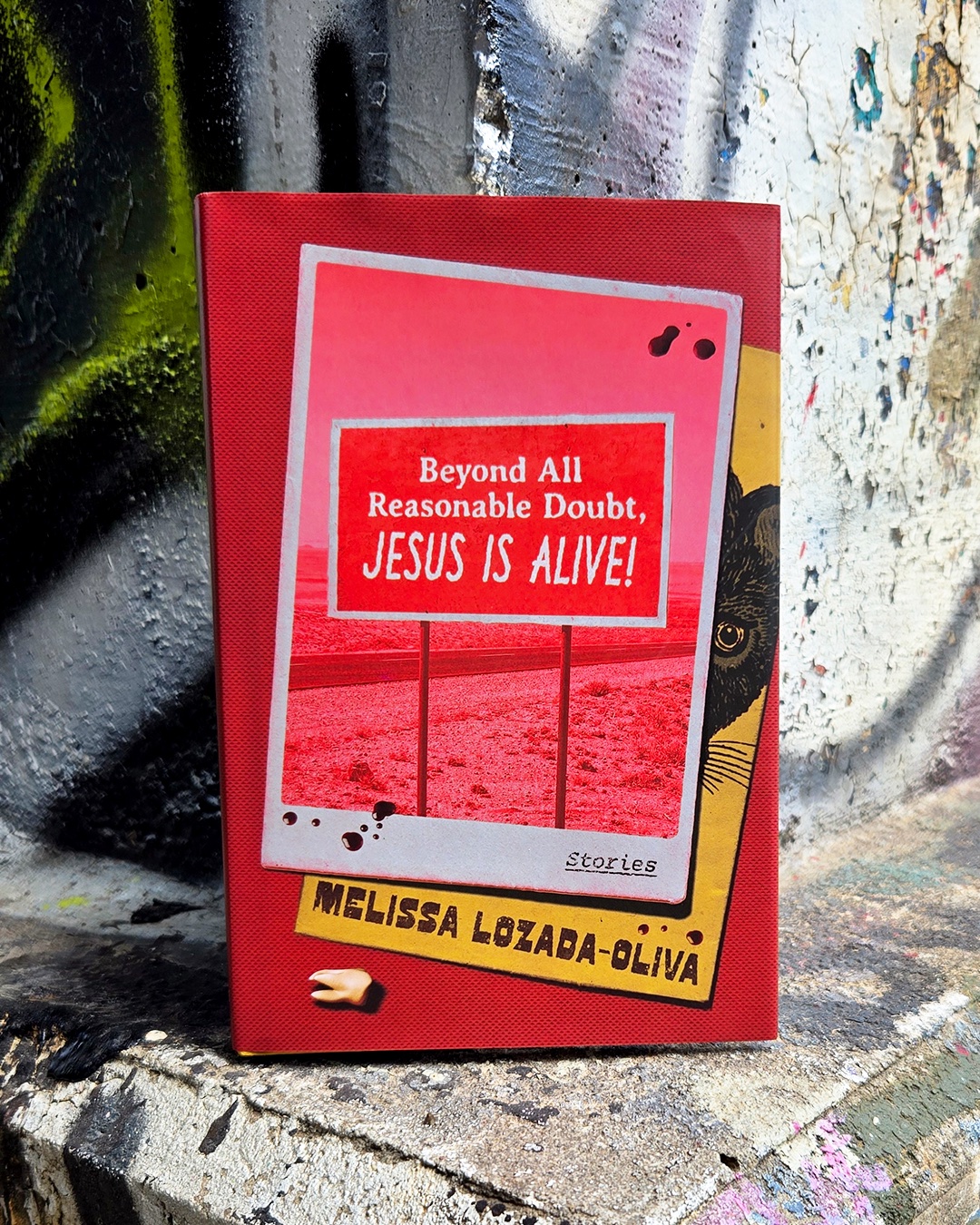 additional book photo