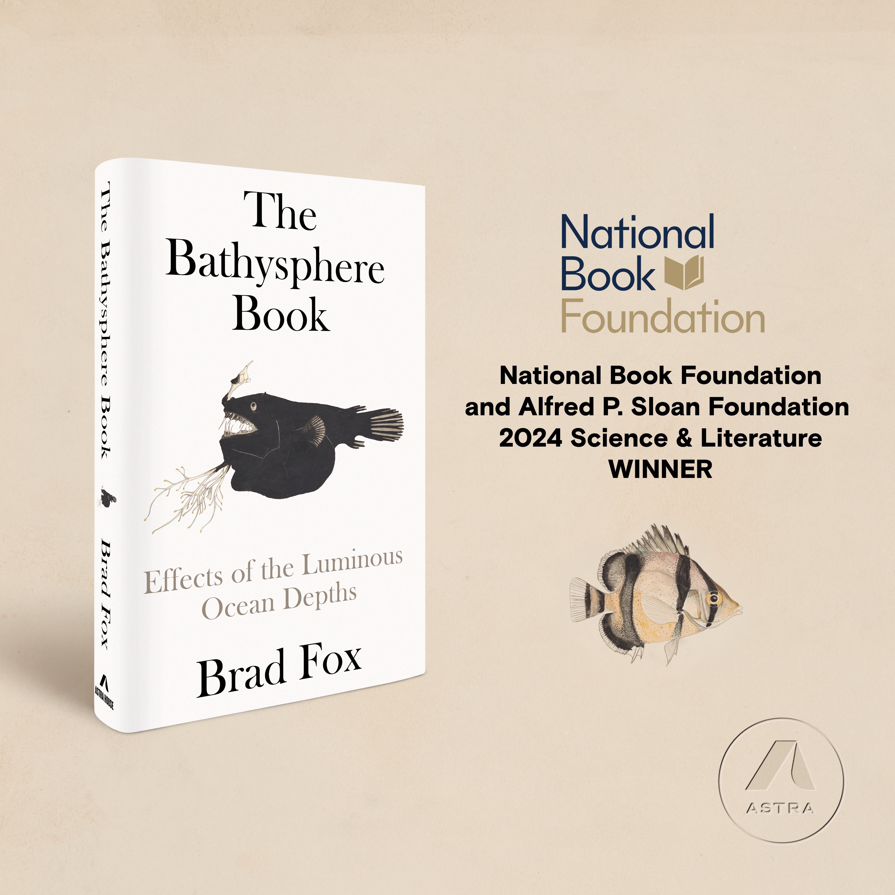 additional book photo