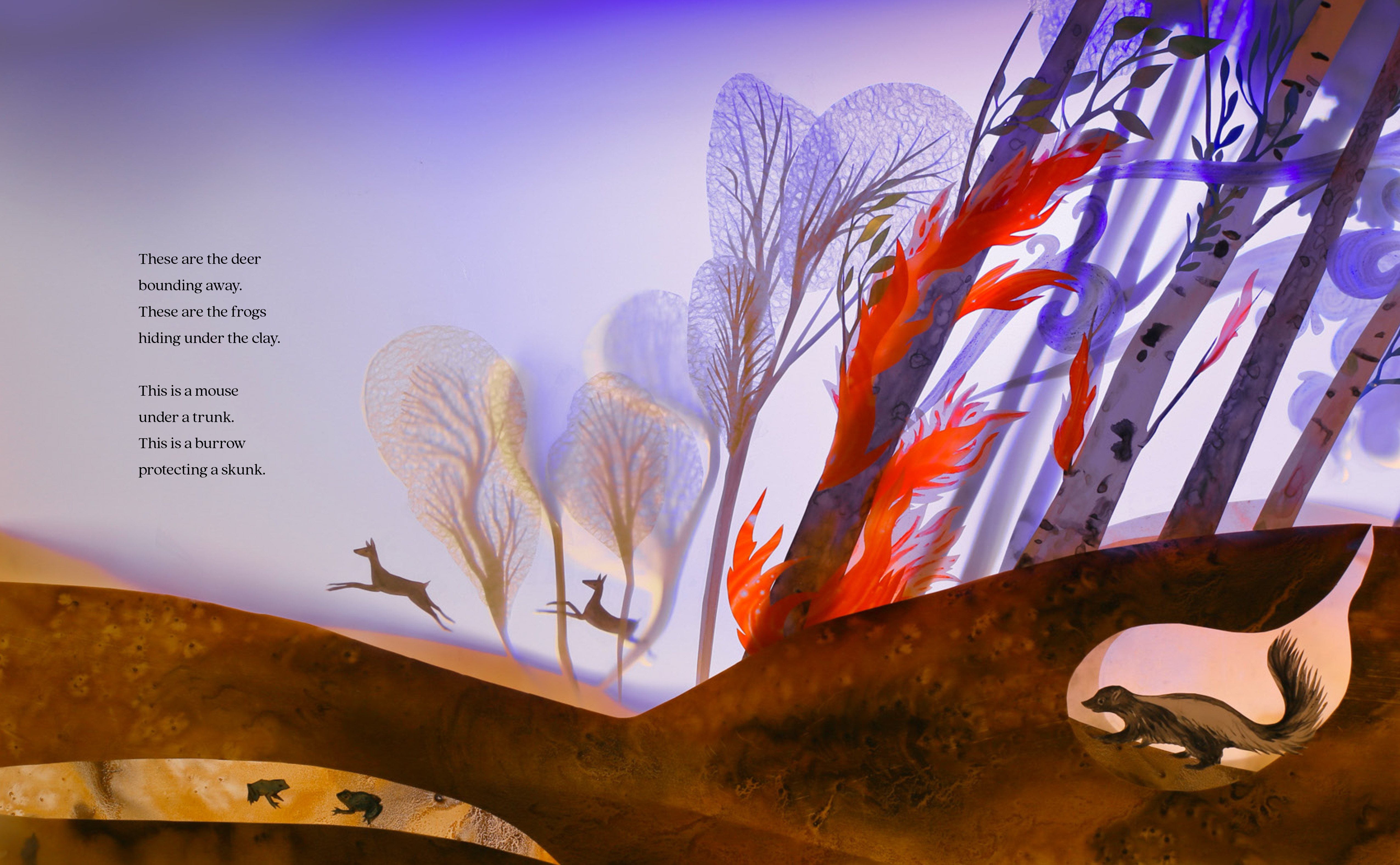 additional book photo