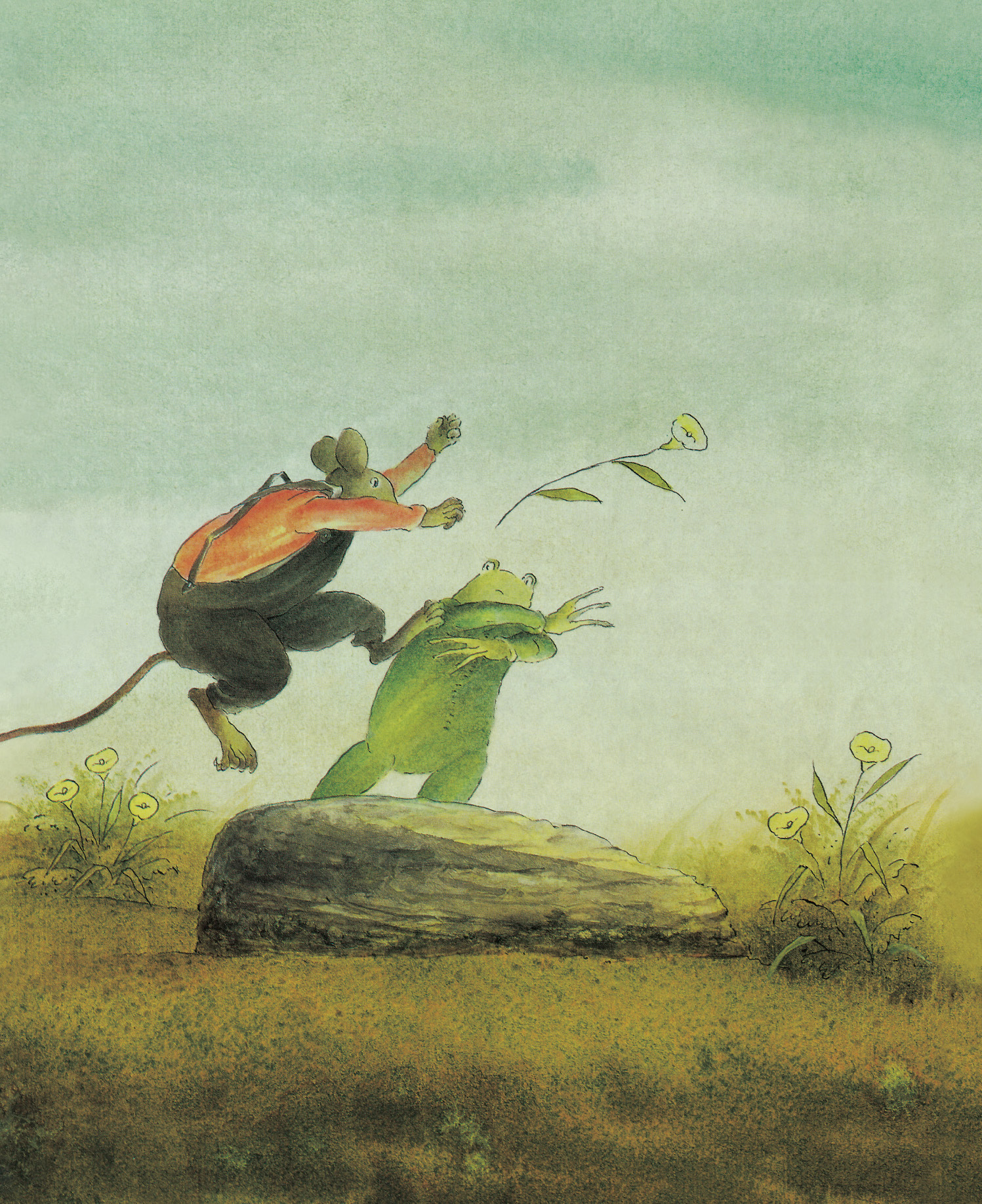 additional book photo