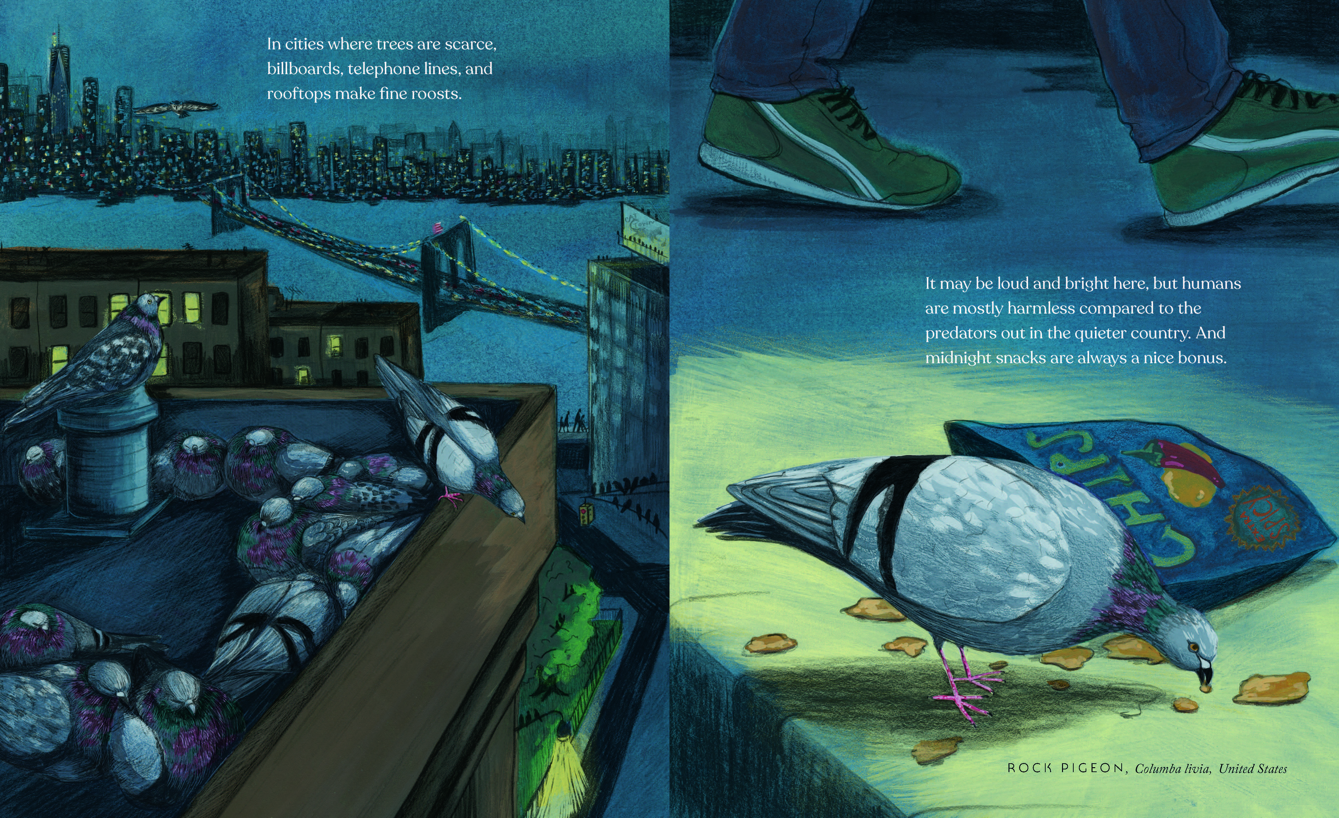 additional book photo