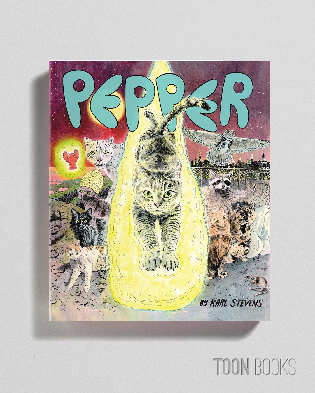 additional book photo