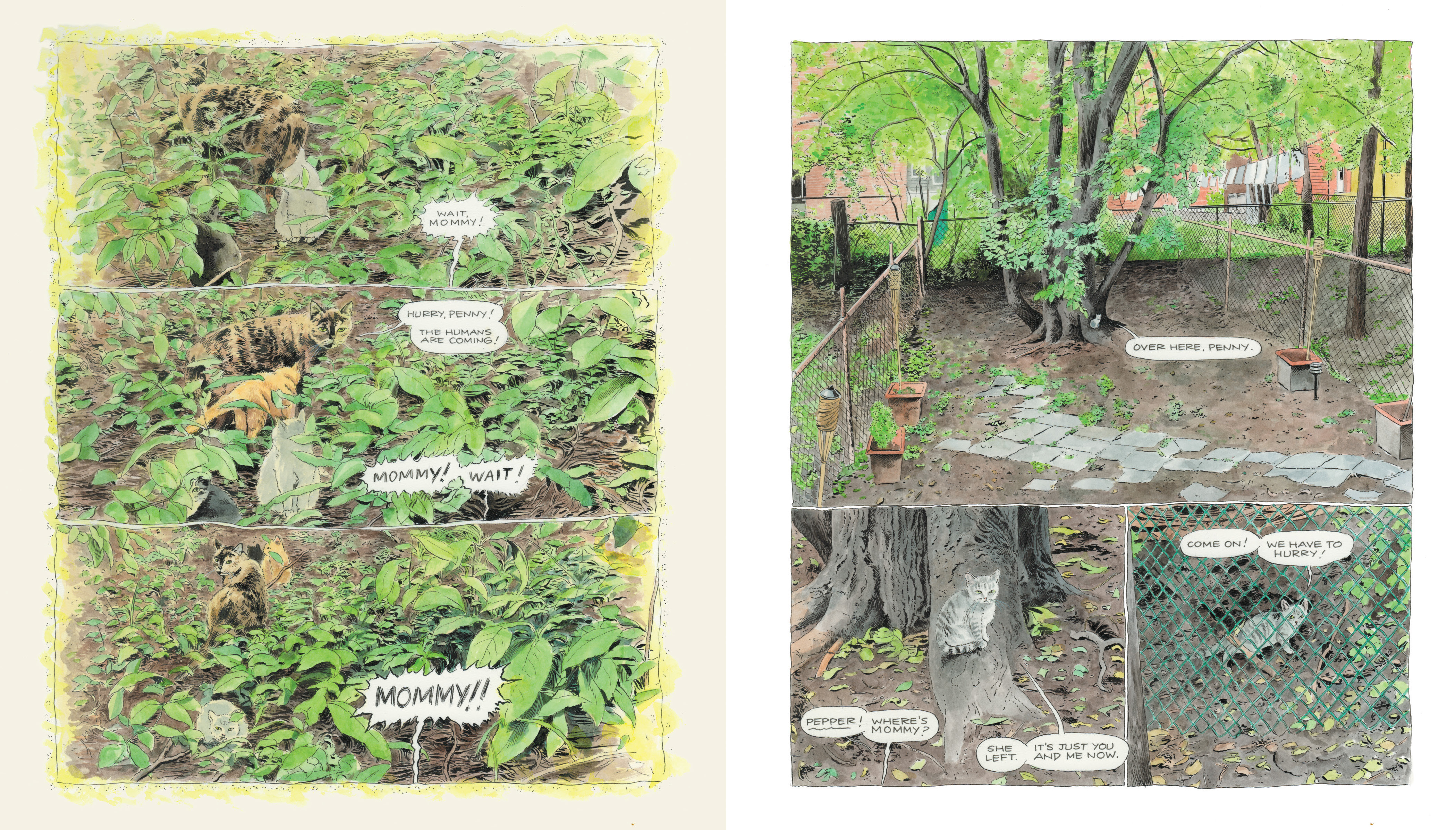 additional book photo