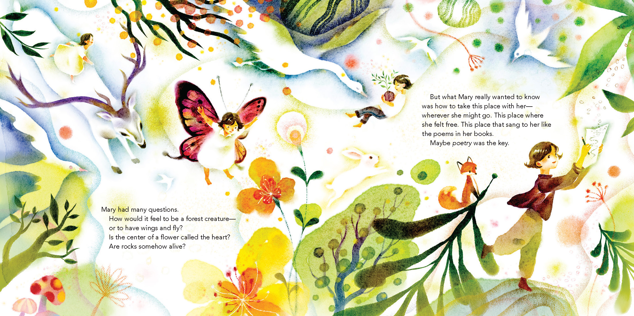 additional book photo