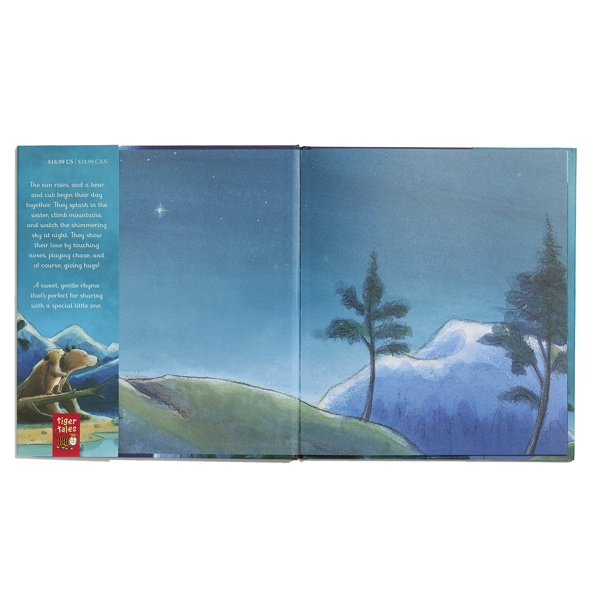 additional book photo