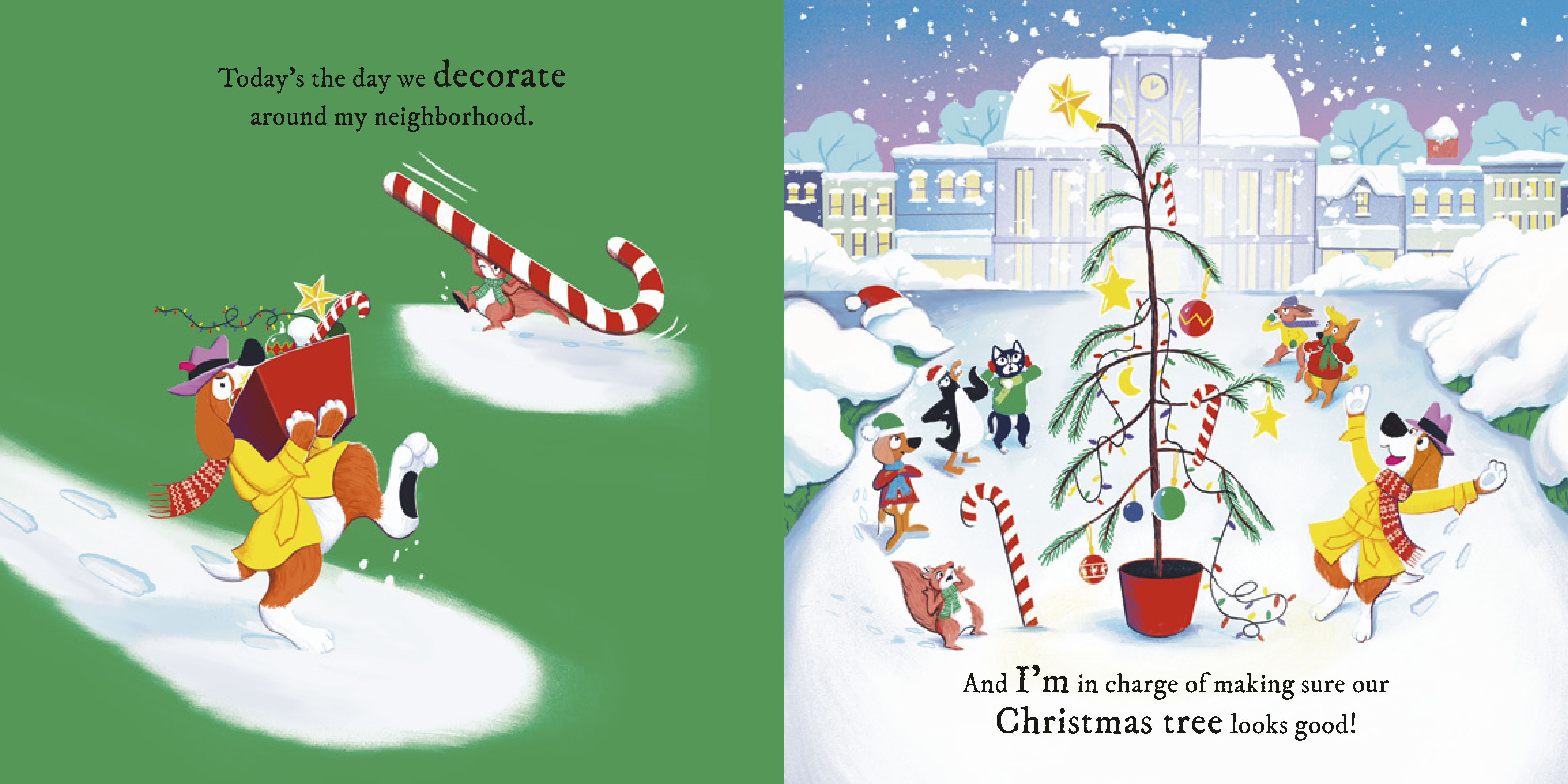 additional book photo