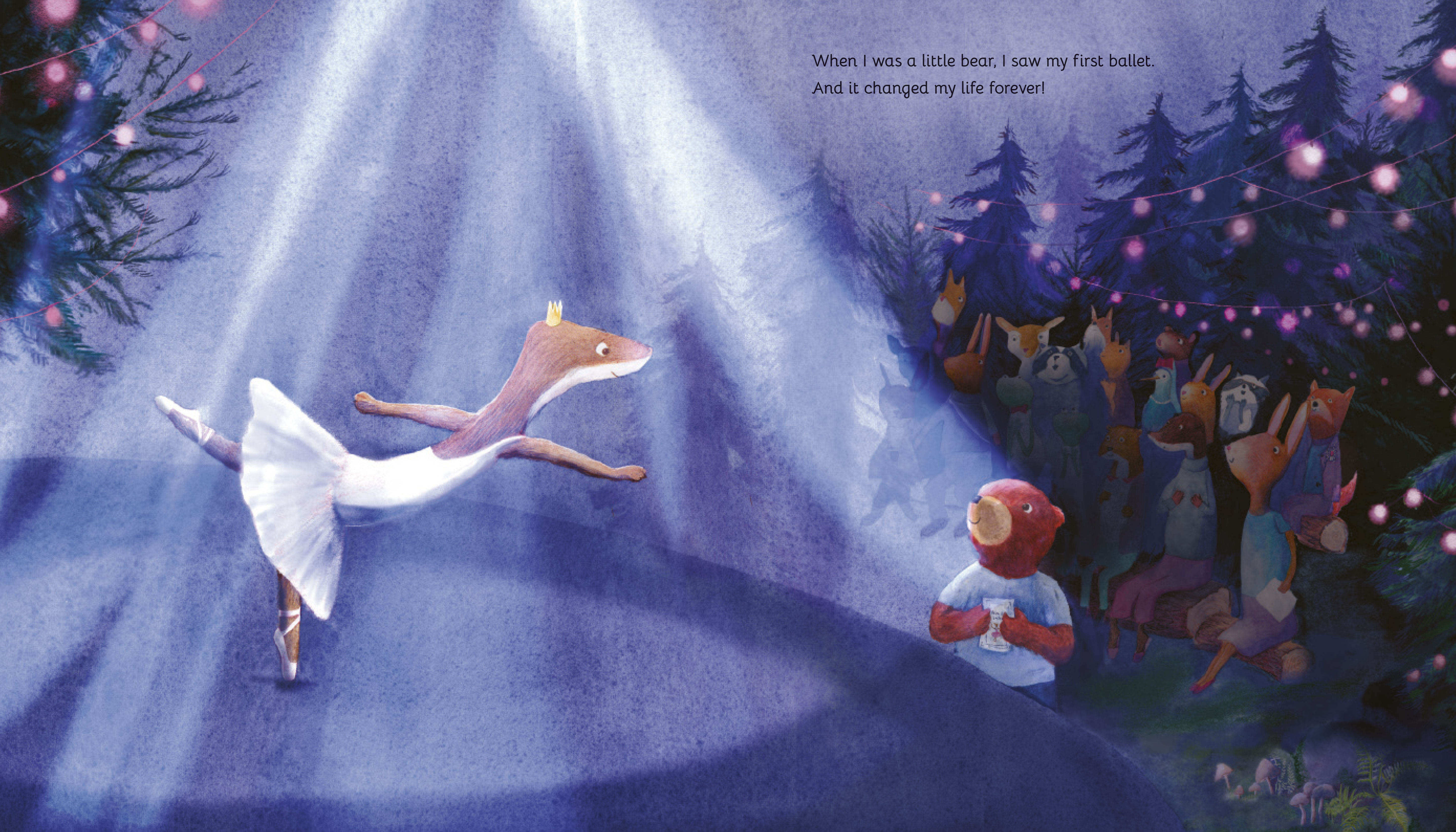 additional book photo