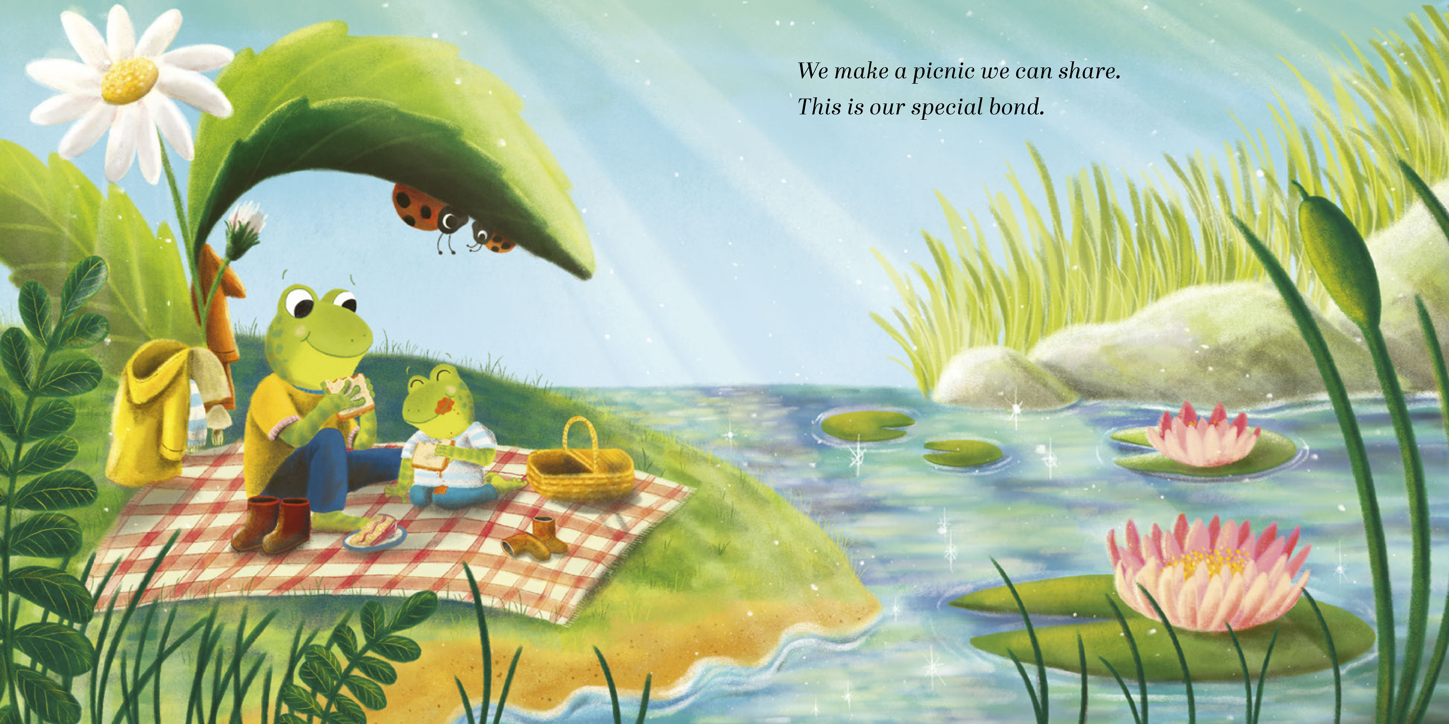 additional book photo