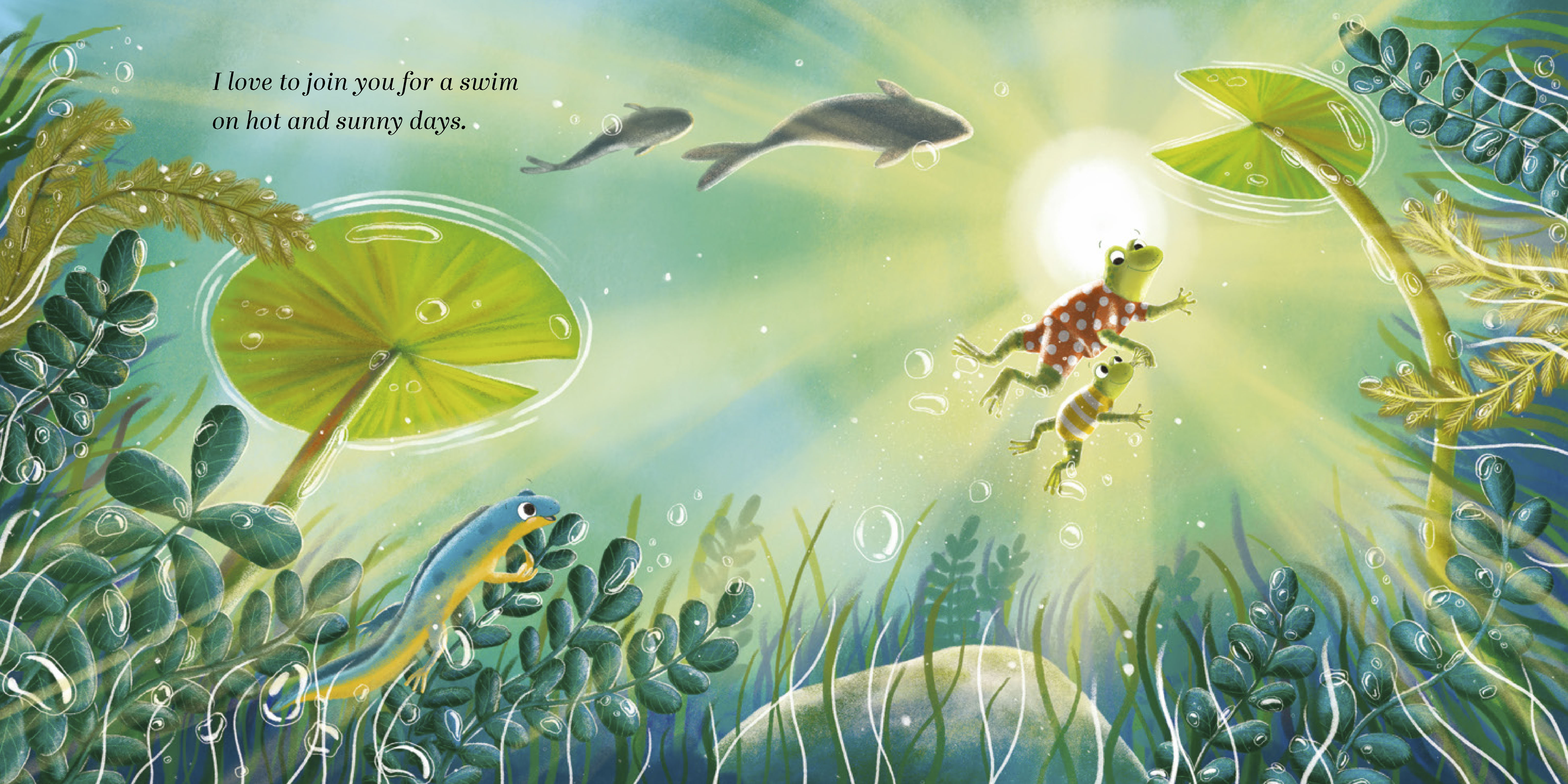 additional book photo