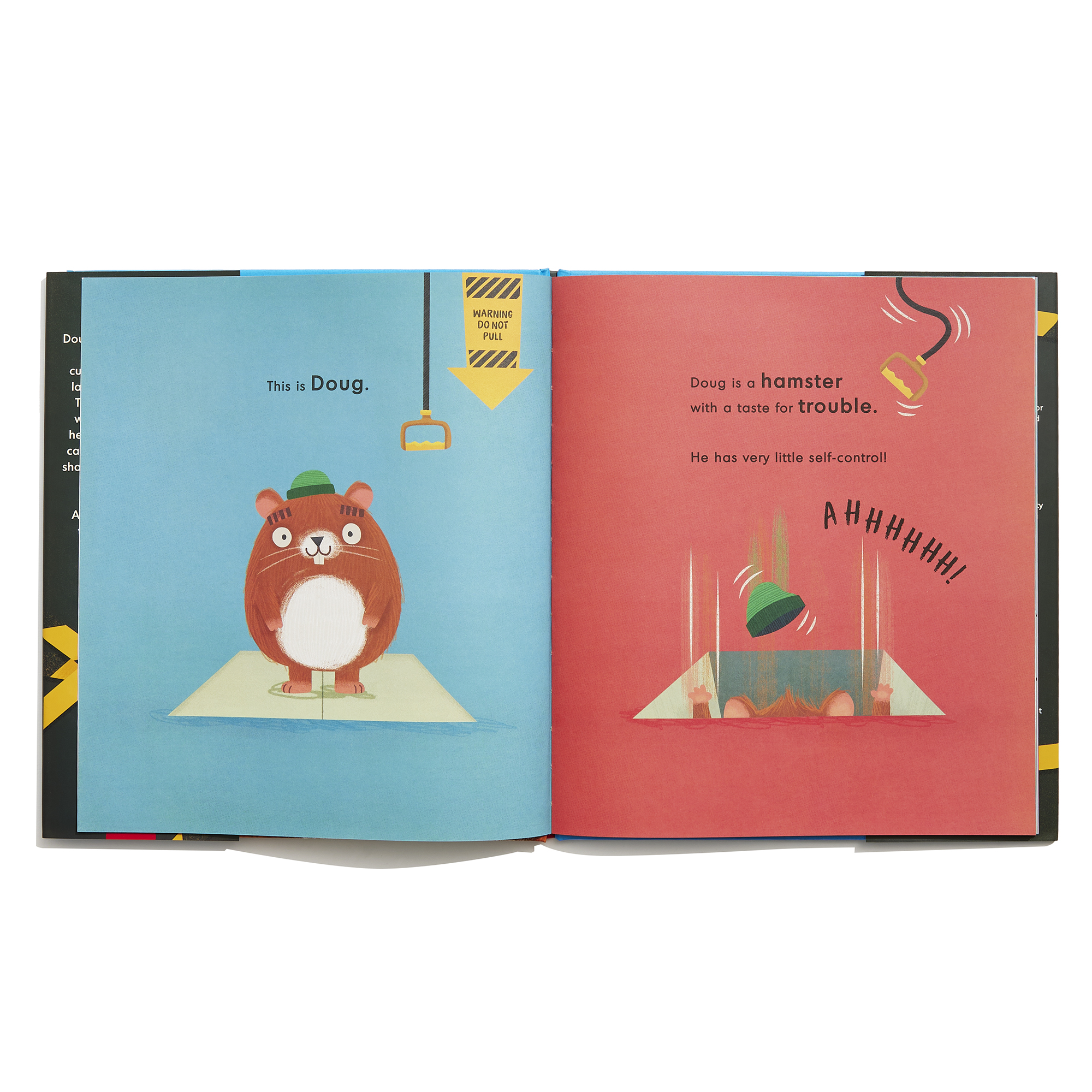 additional book photo