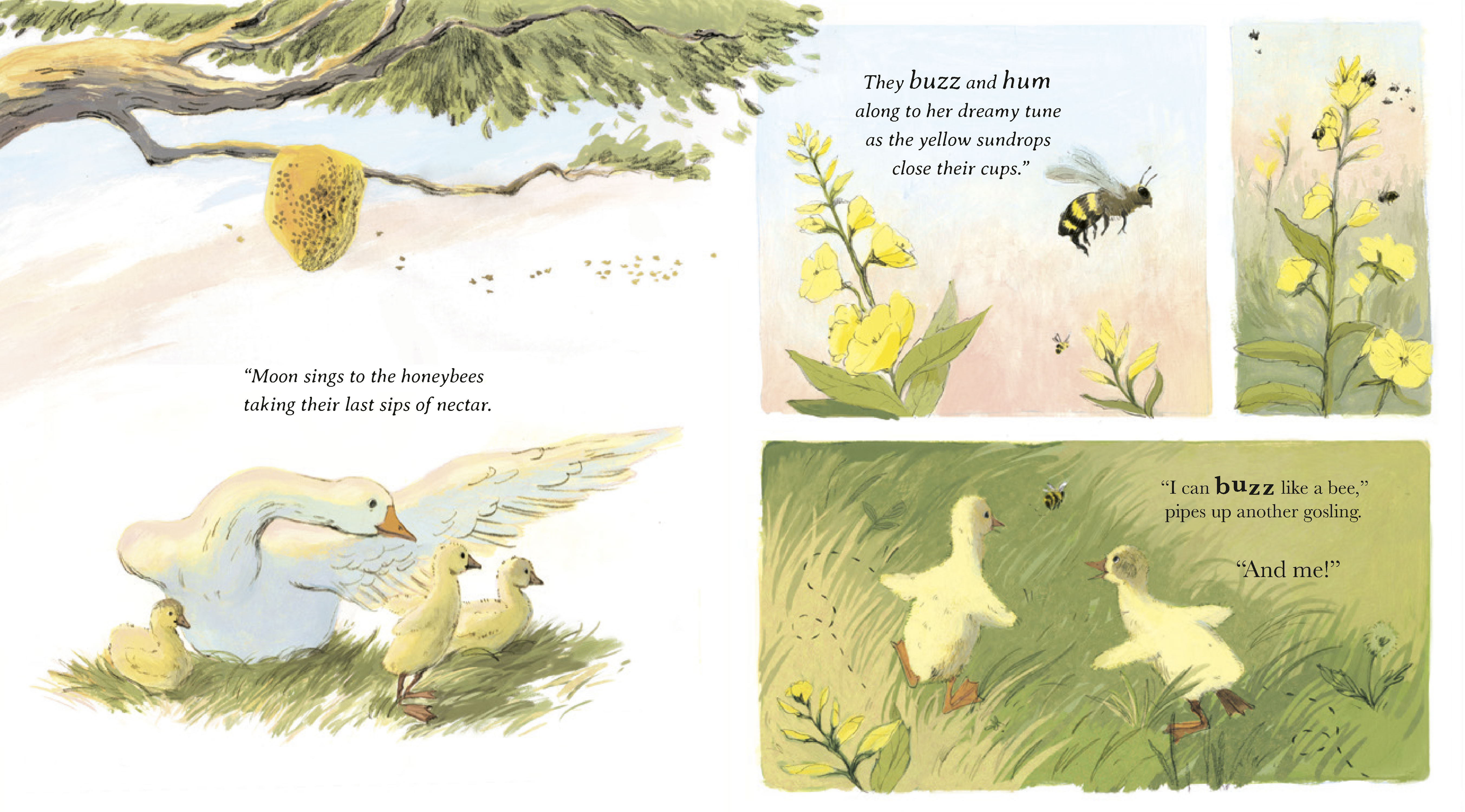 additional book photo