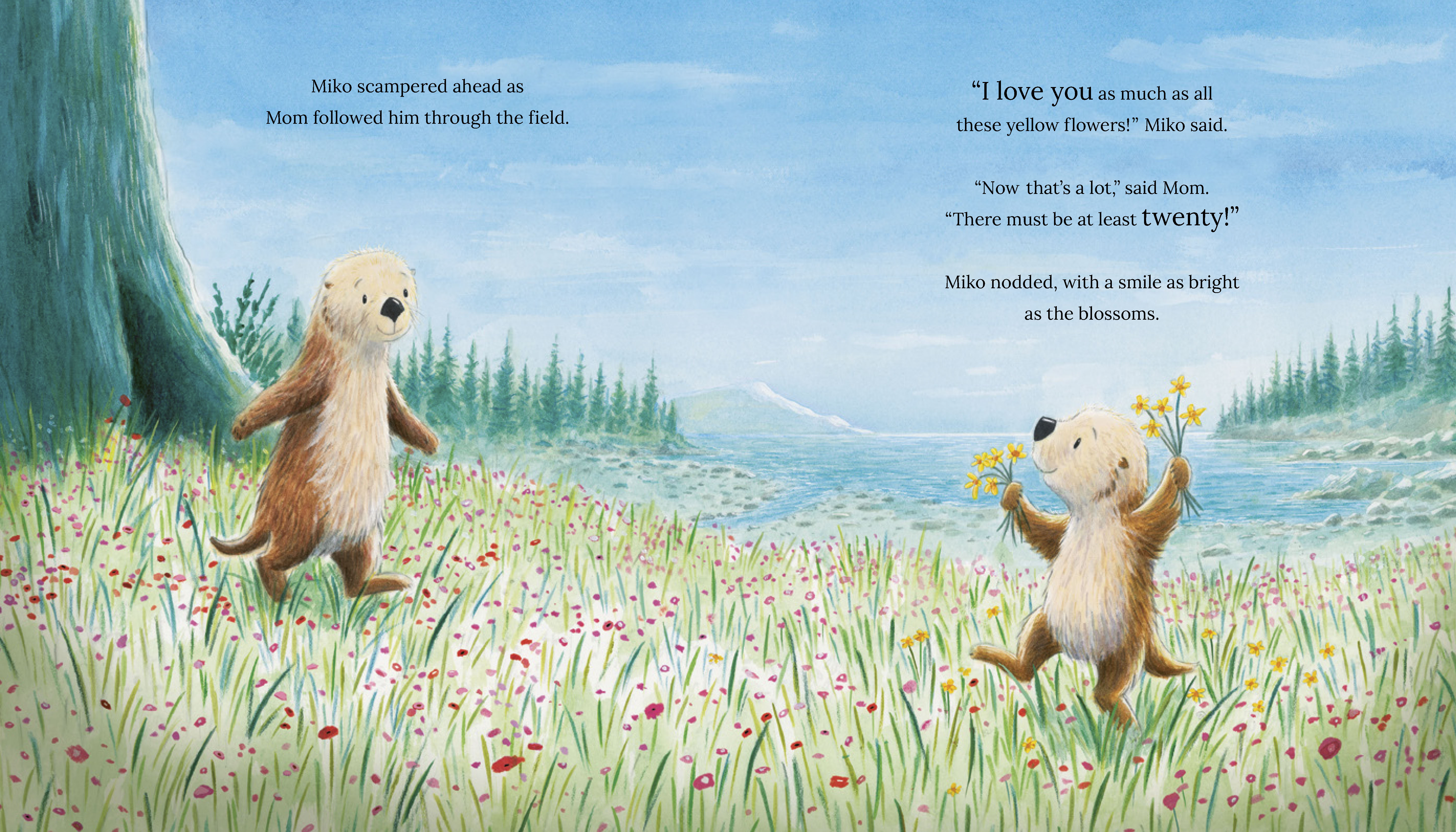 additional book photo