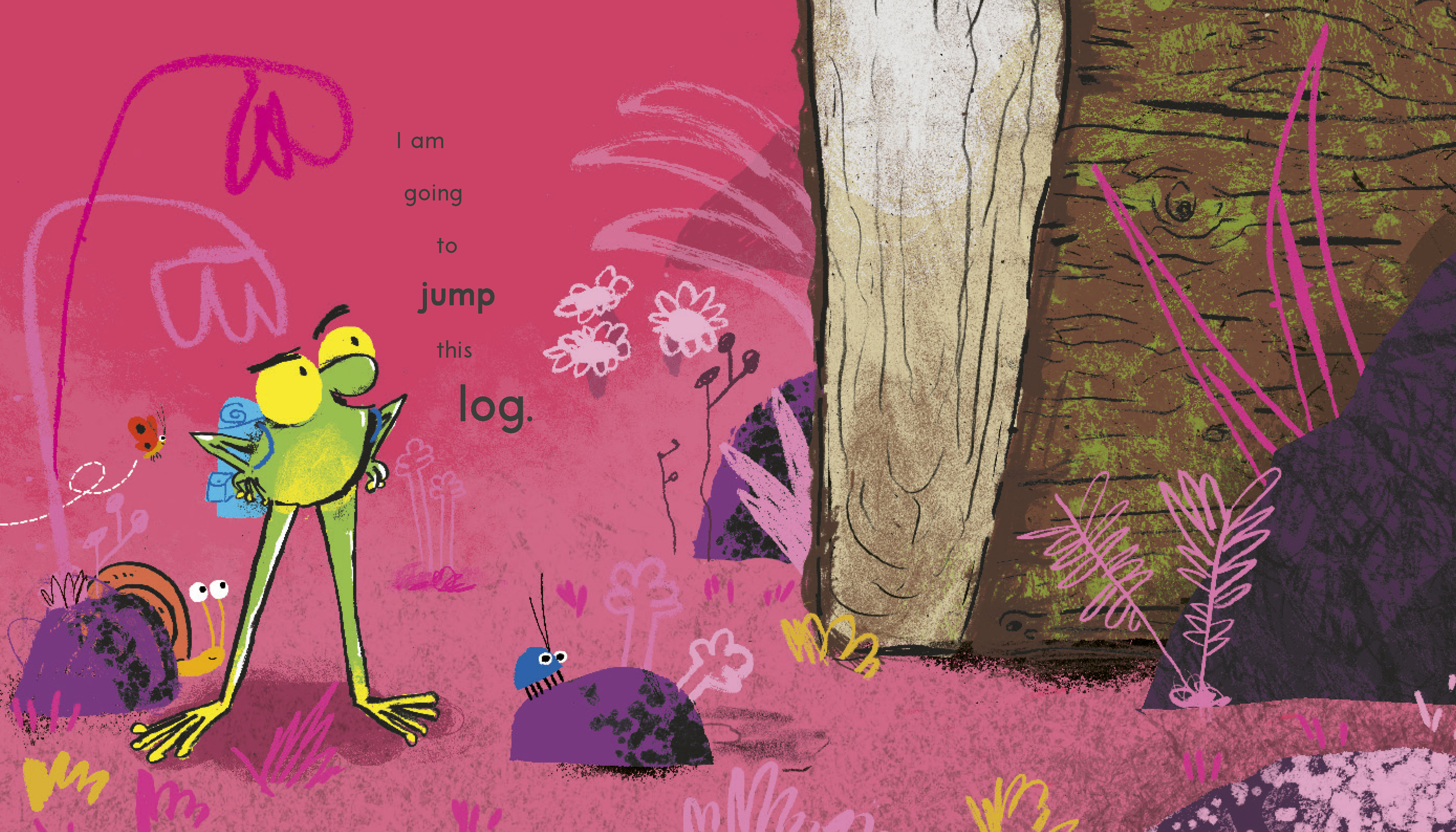 additional book photo