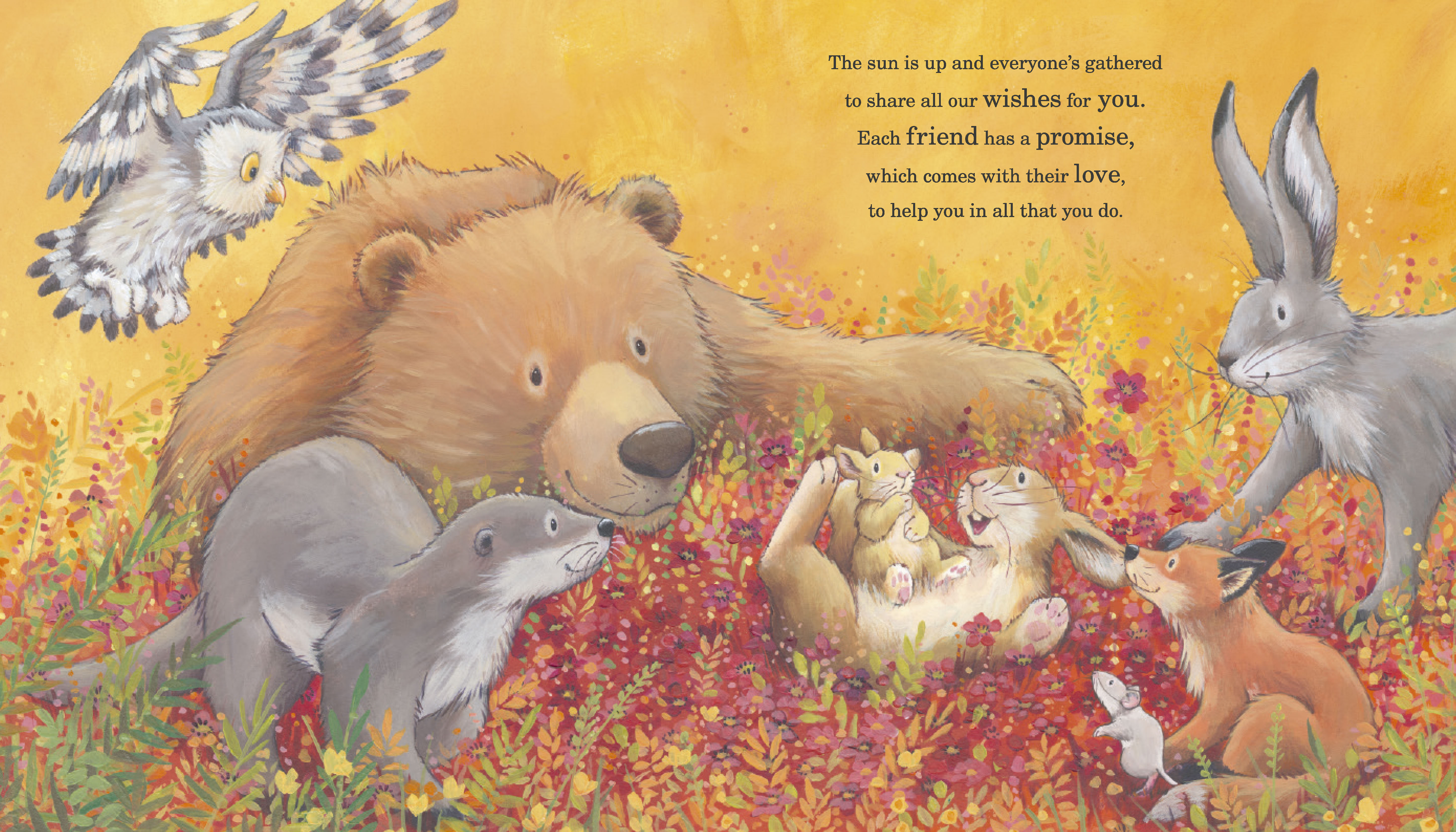 additional book photo