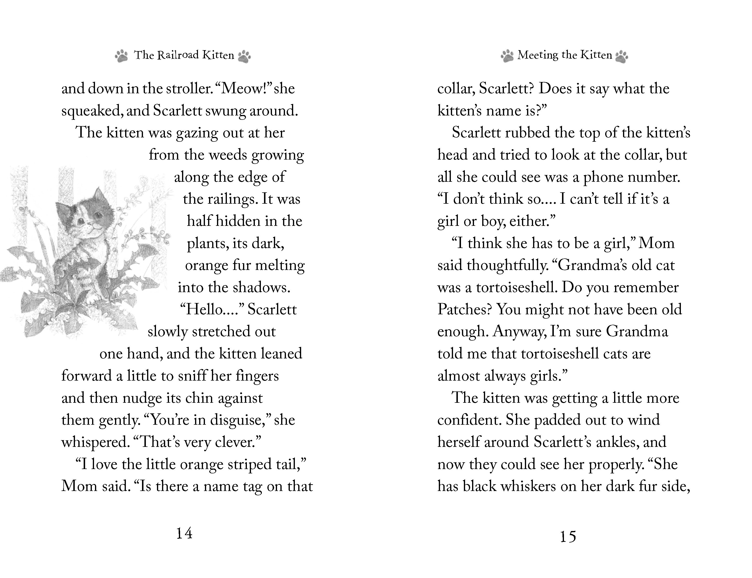 additional book photo