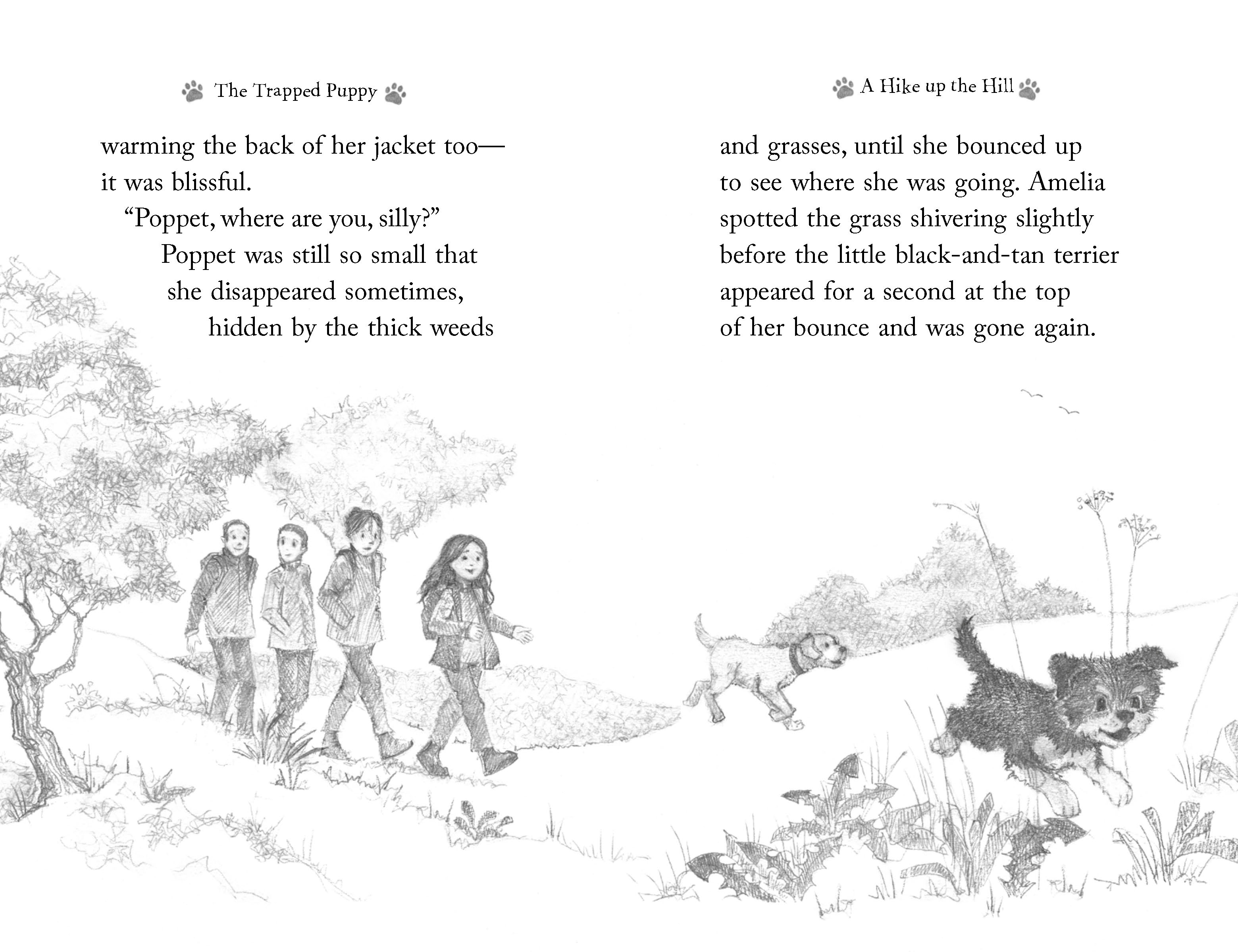 additional book photo