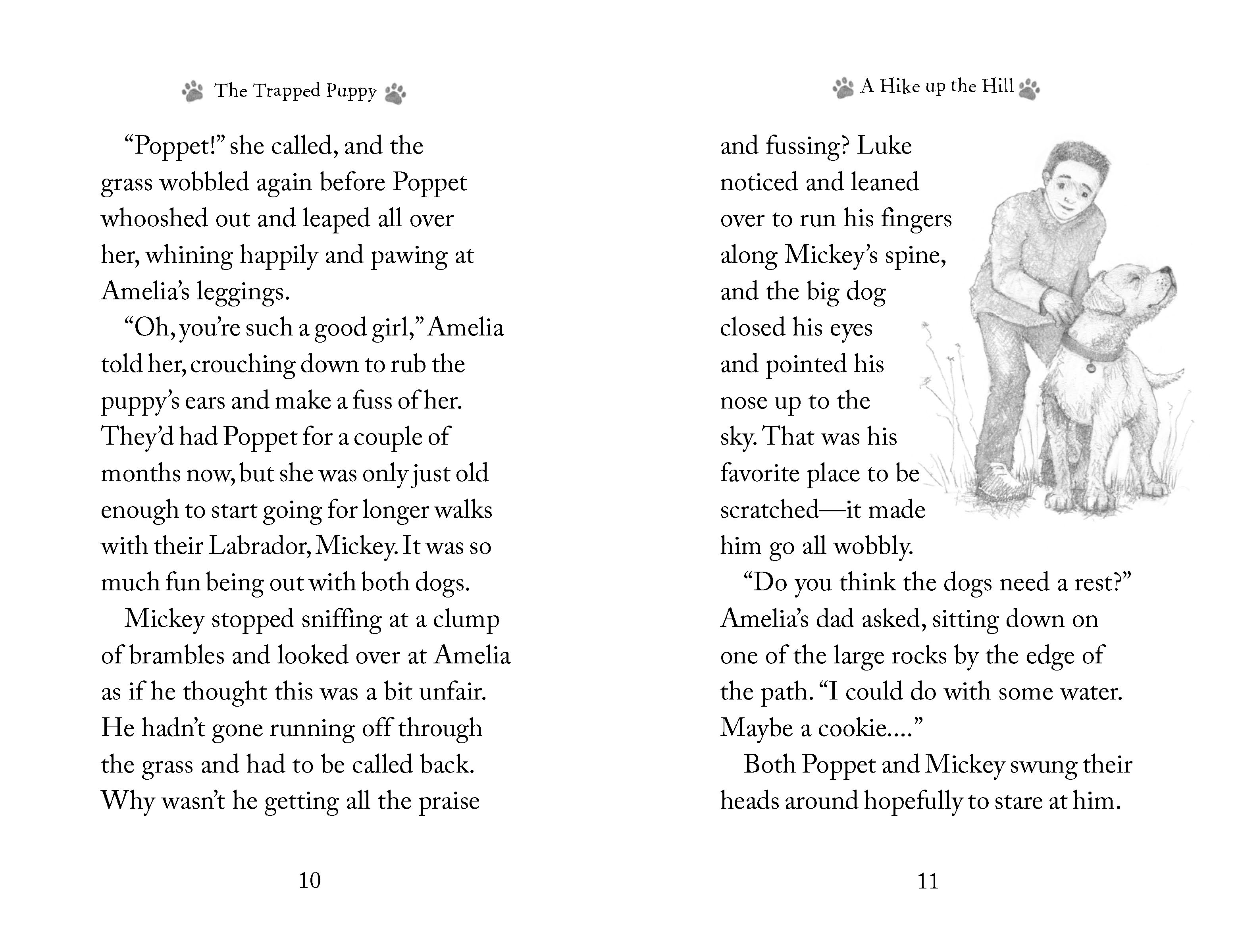 additional book photo