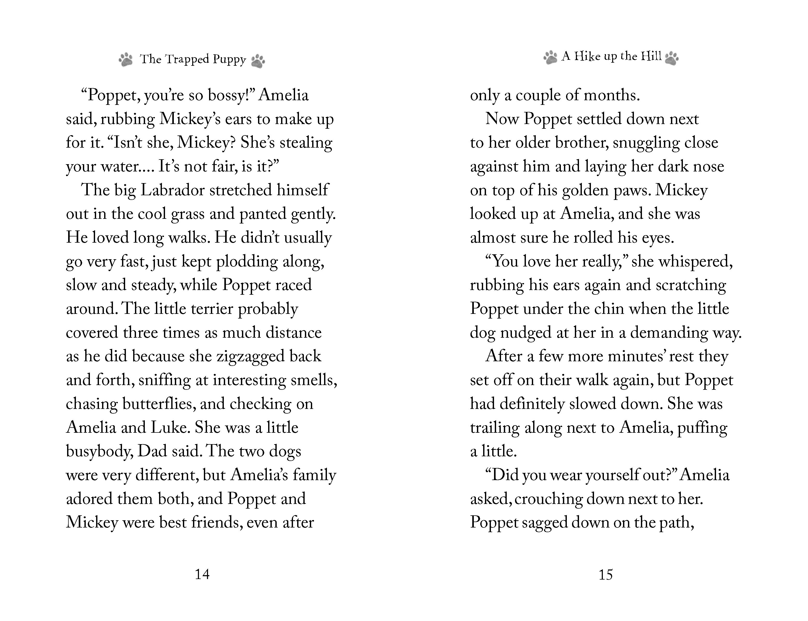 additional book photo