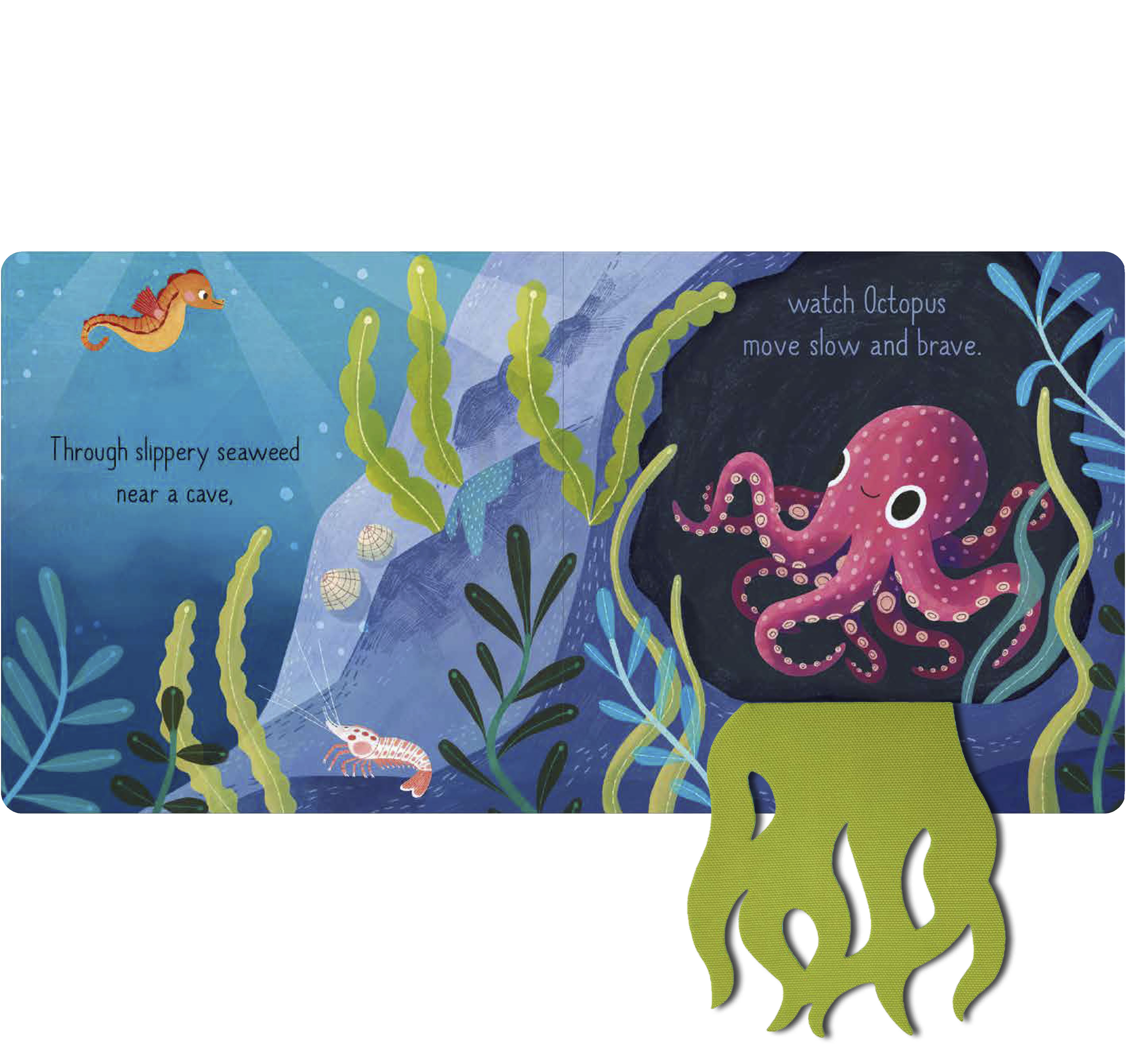 additional book photo