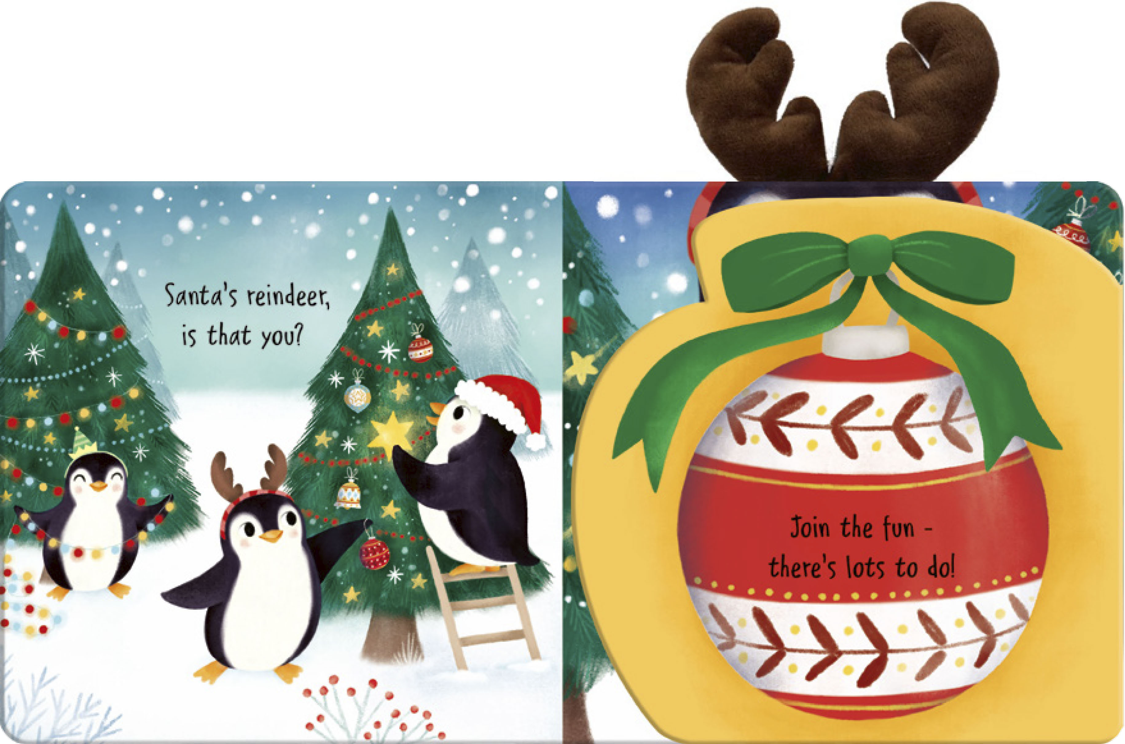 additional book photo