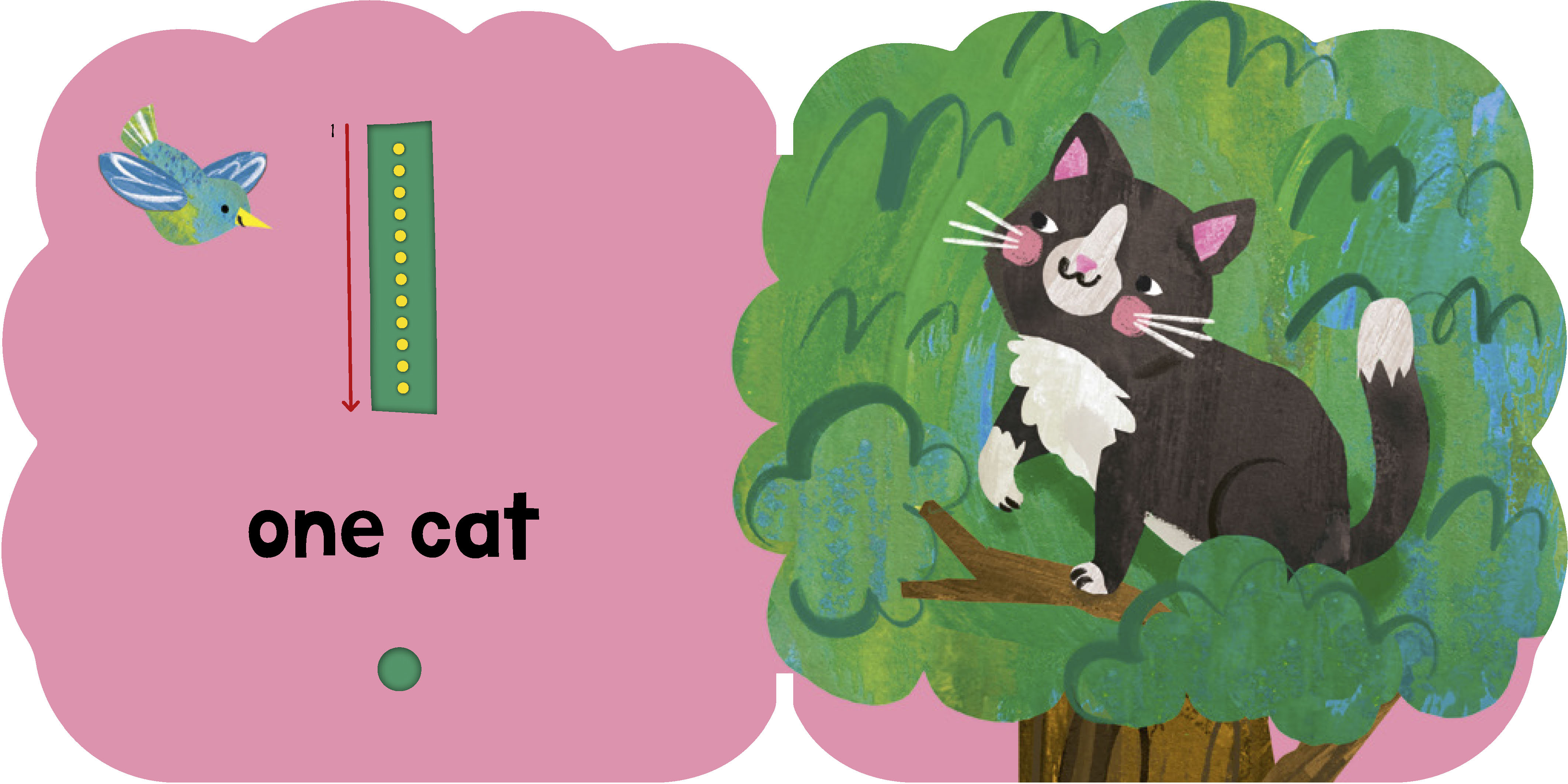 additional book photo