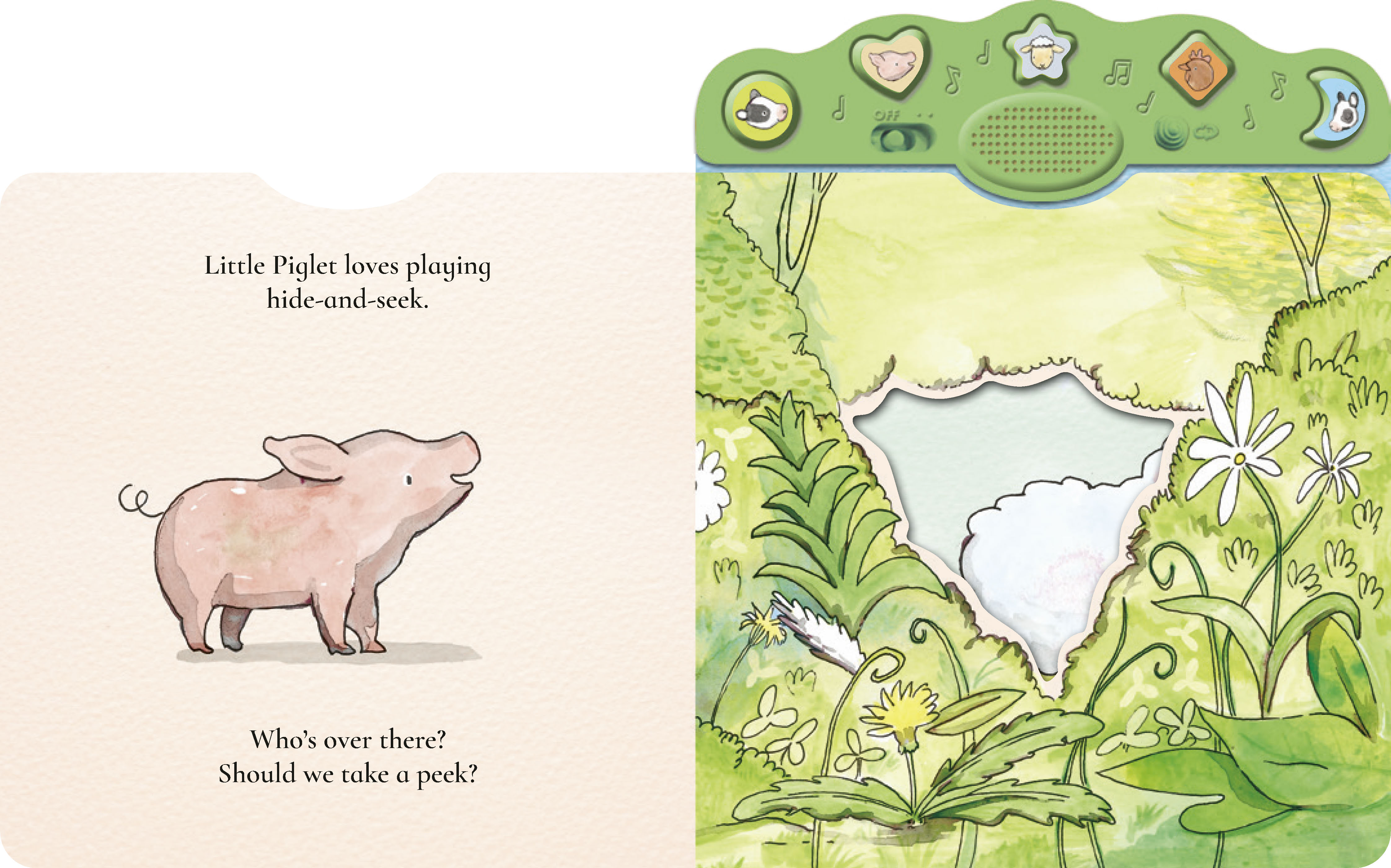 additional book photo