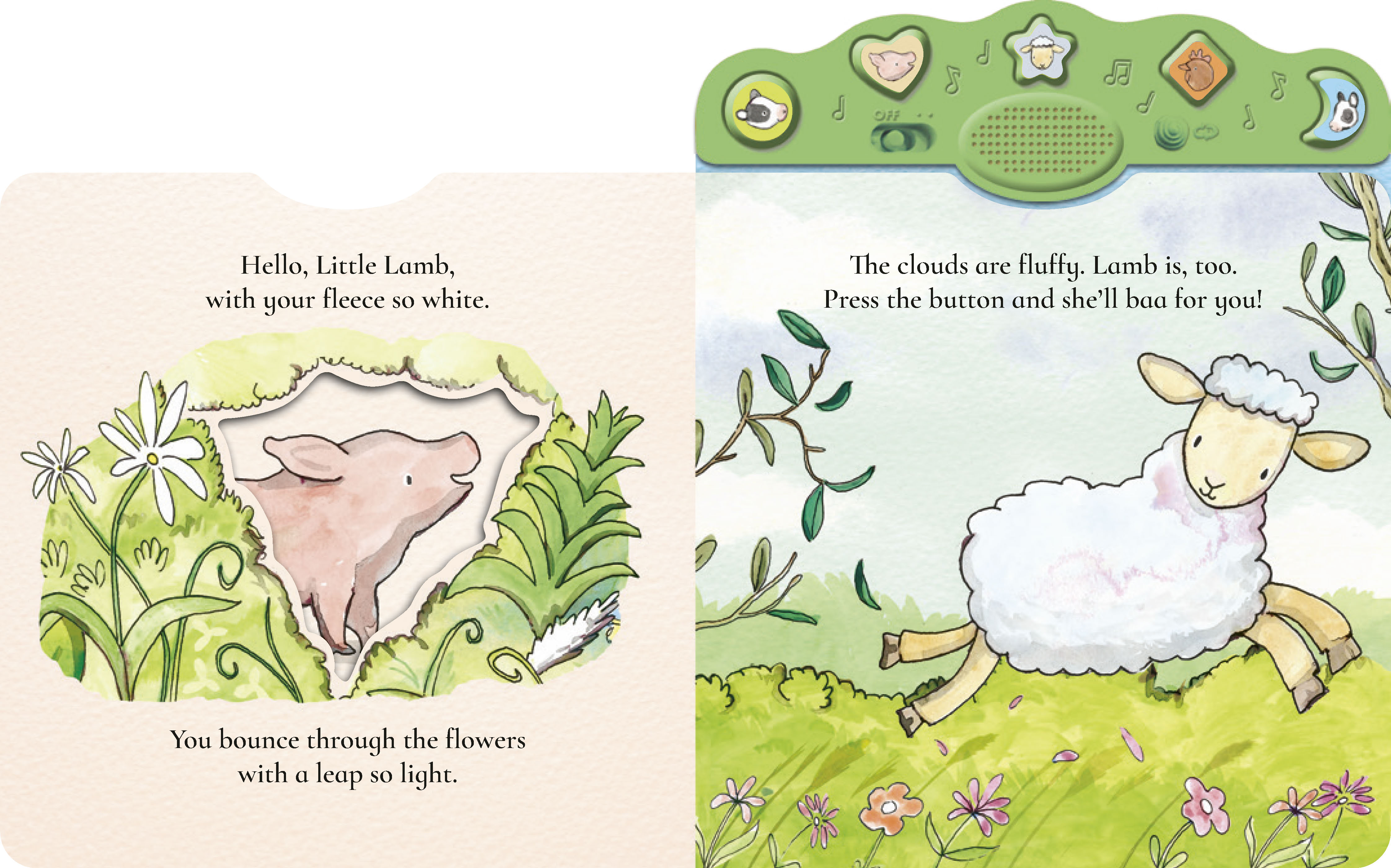additional book photo
