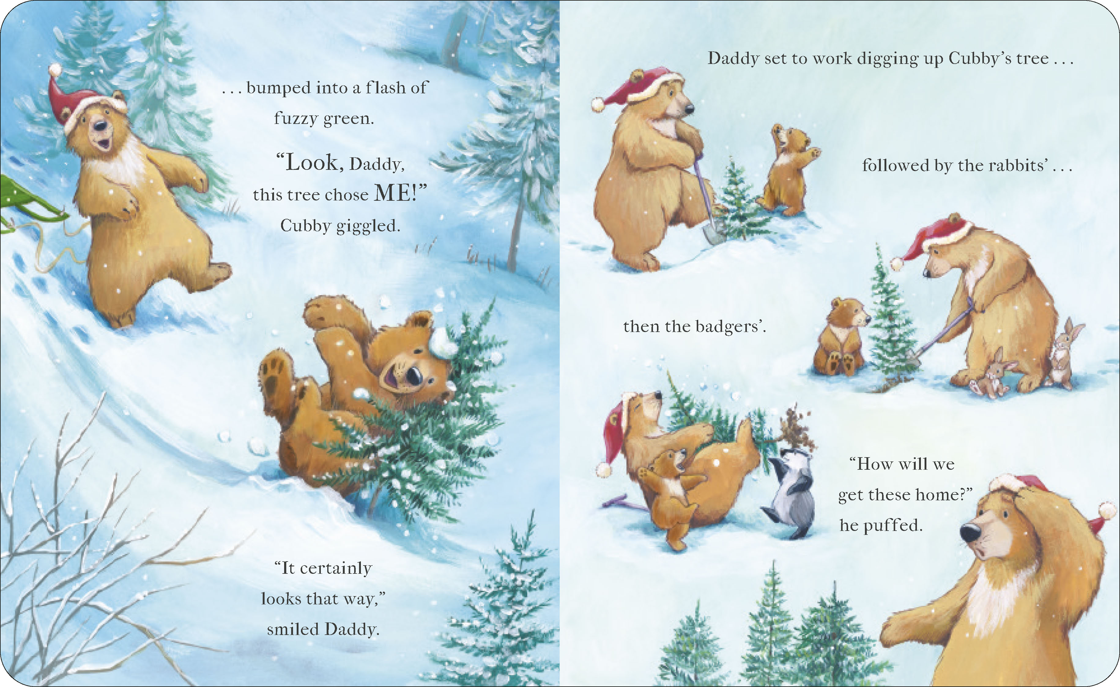 additional book photo