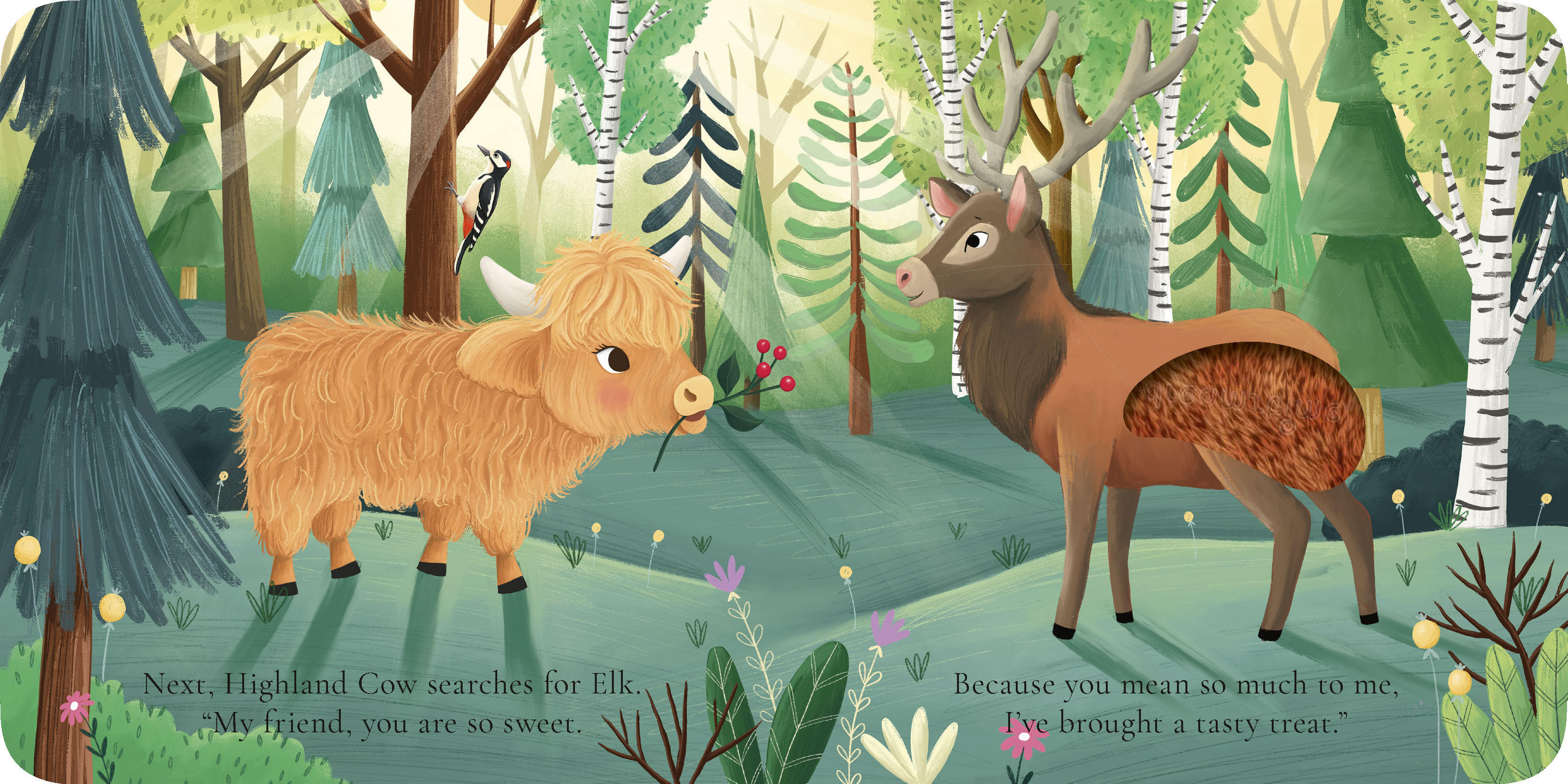 additional book photo