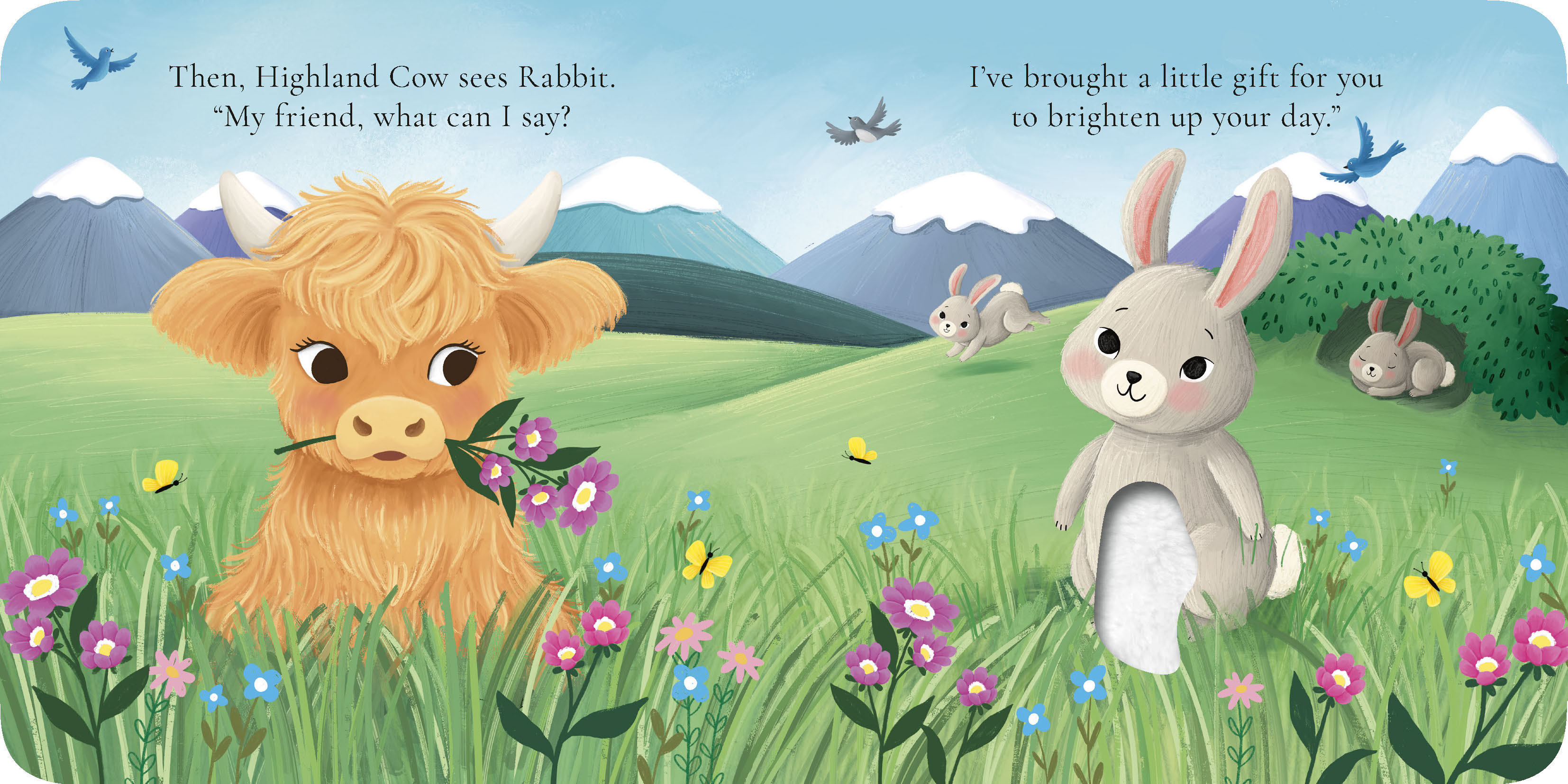 additional book photo